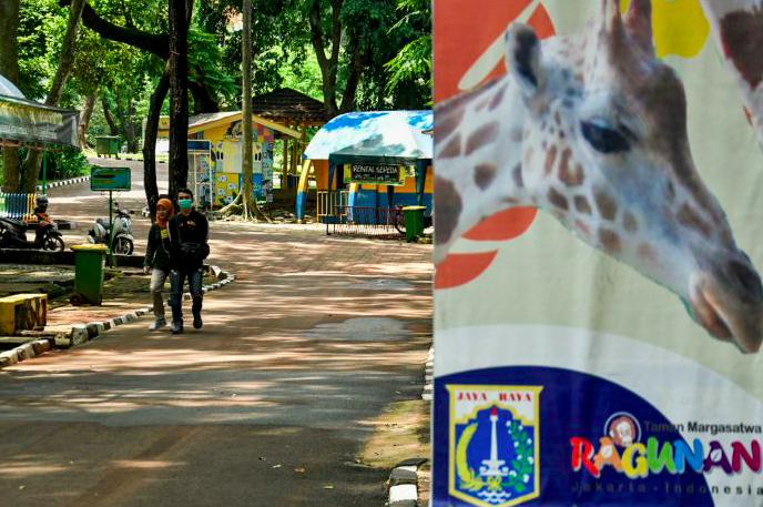 Ilustrasi: Suasana Taman Margasatwa Ragunan (TMR) yang mulai didatangi pengunjung, Jakarta, Selasa (13/10/2020) 