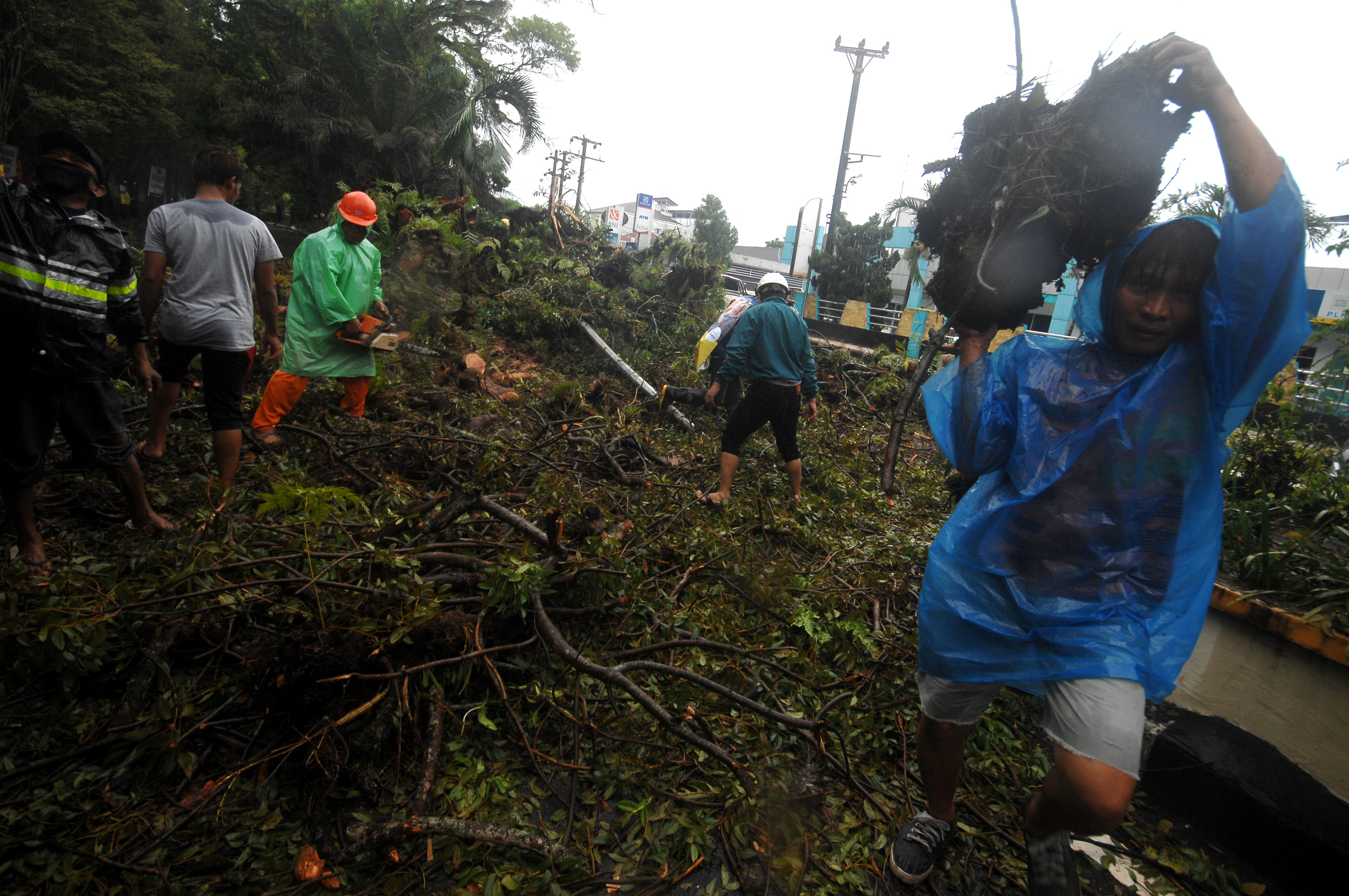 Sejumlah pekerja membersihkan bagian pohon yang tumbang di Manado, Sulawesi Utara.