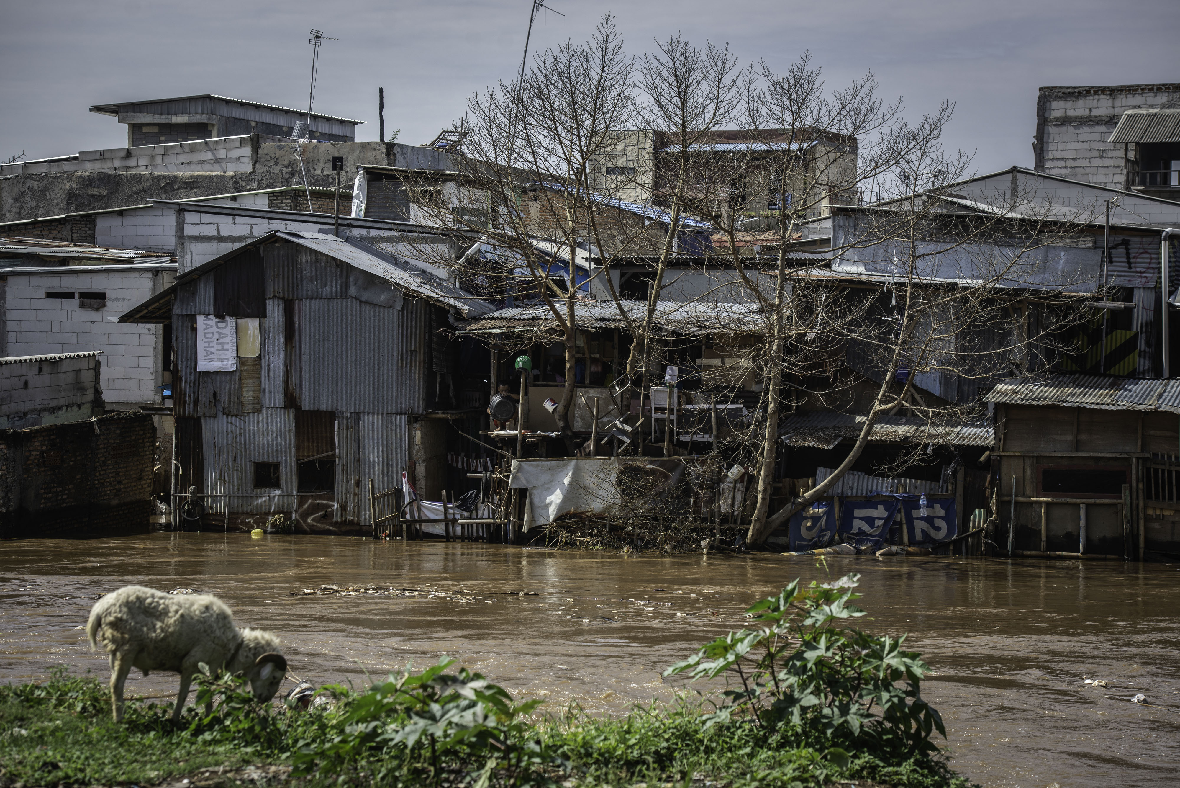 Ilustrasi kemiskinan: Deretan permukiman penduduk semi permanen di bantaran Sungai Ciliwung