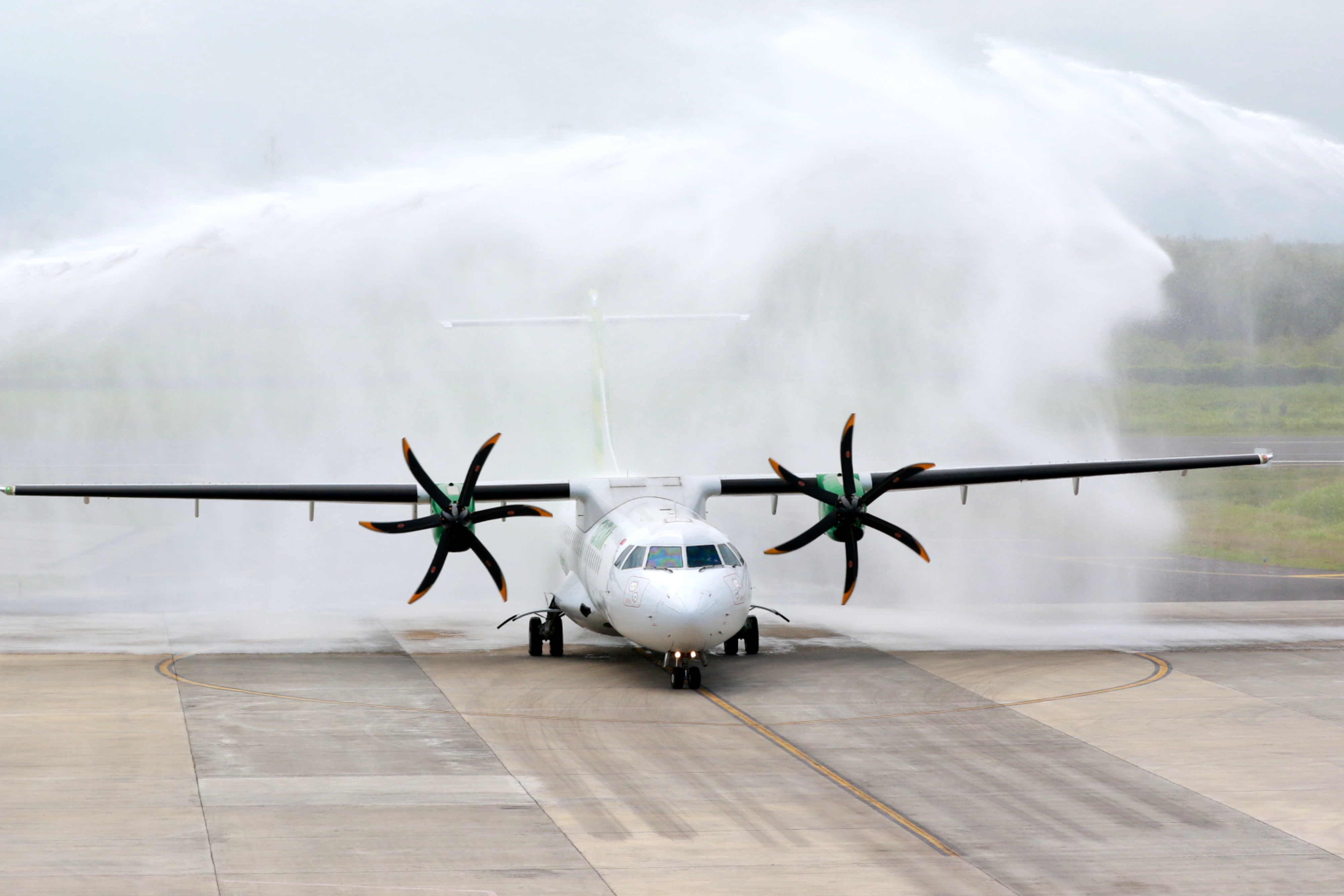 Salah satu pesawat milik maskapai Indonnesia