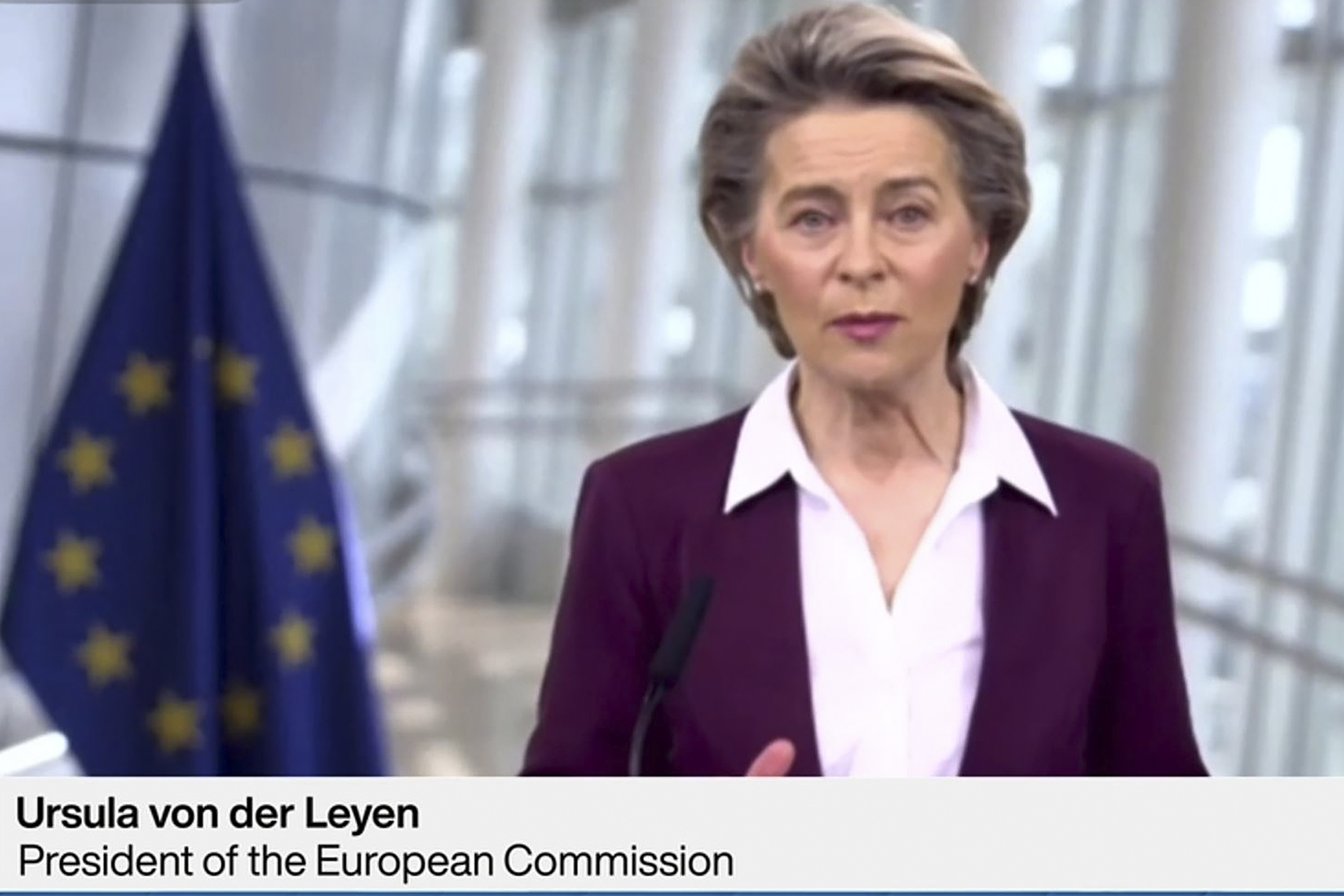 Presiden Komisi Eropa Ursula von der Leyen berbicara melalui konferensi video di Forum Ekonomi Dunia, Selasa (26/1