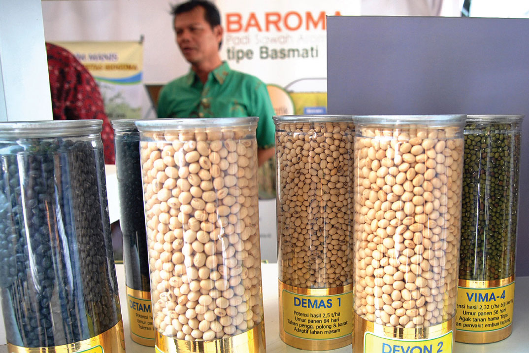 VARIETAS UNGGUL: Peserta berdiri di stan varietas kedelai unggul saat Pameran Agro Inovasi di Balai Pengelola Alih Teknologi Pertanian, 