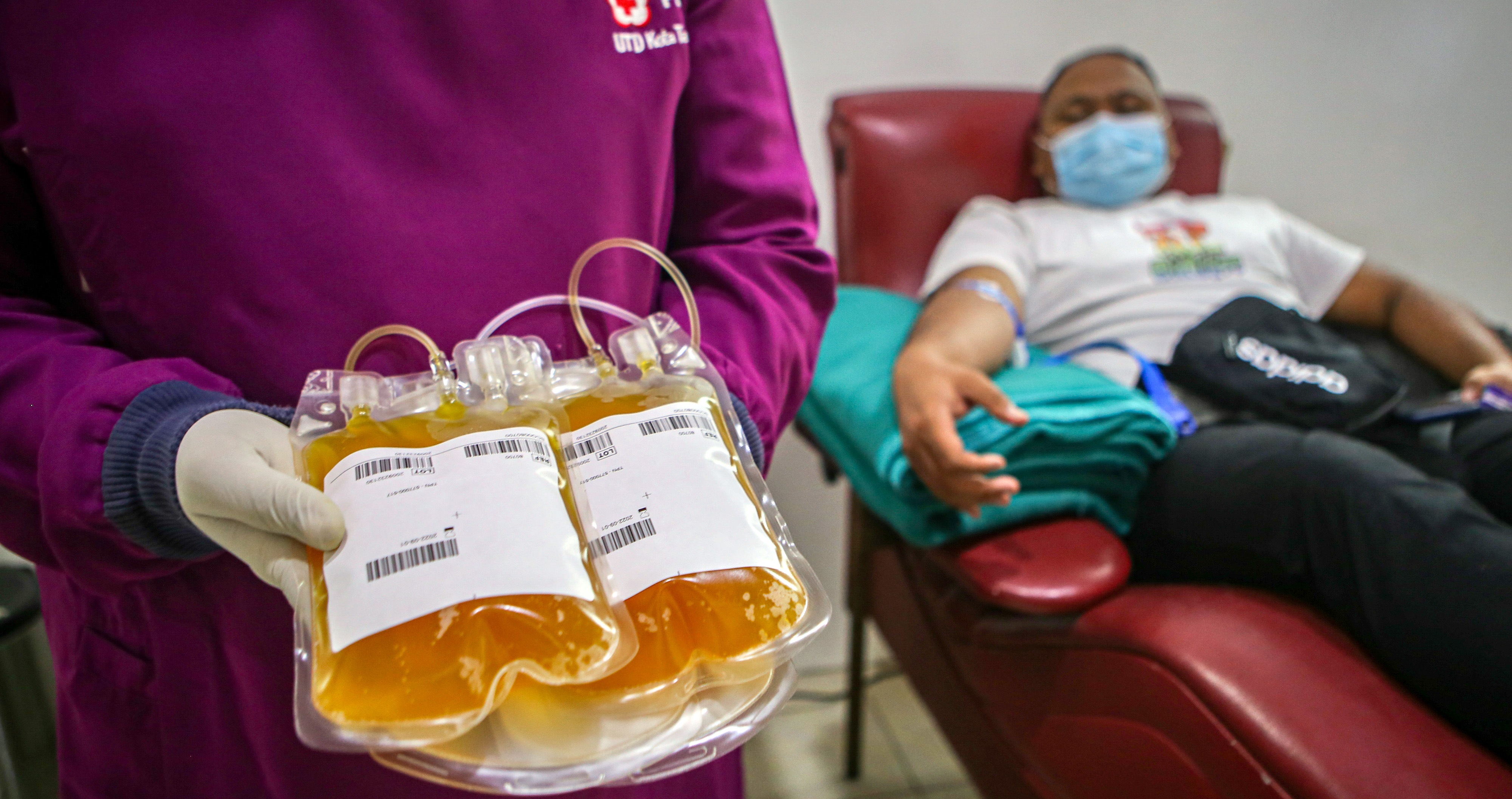 Terapi plasma Konvalesen