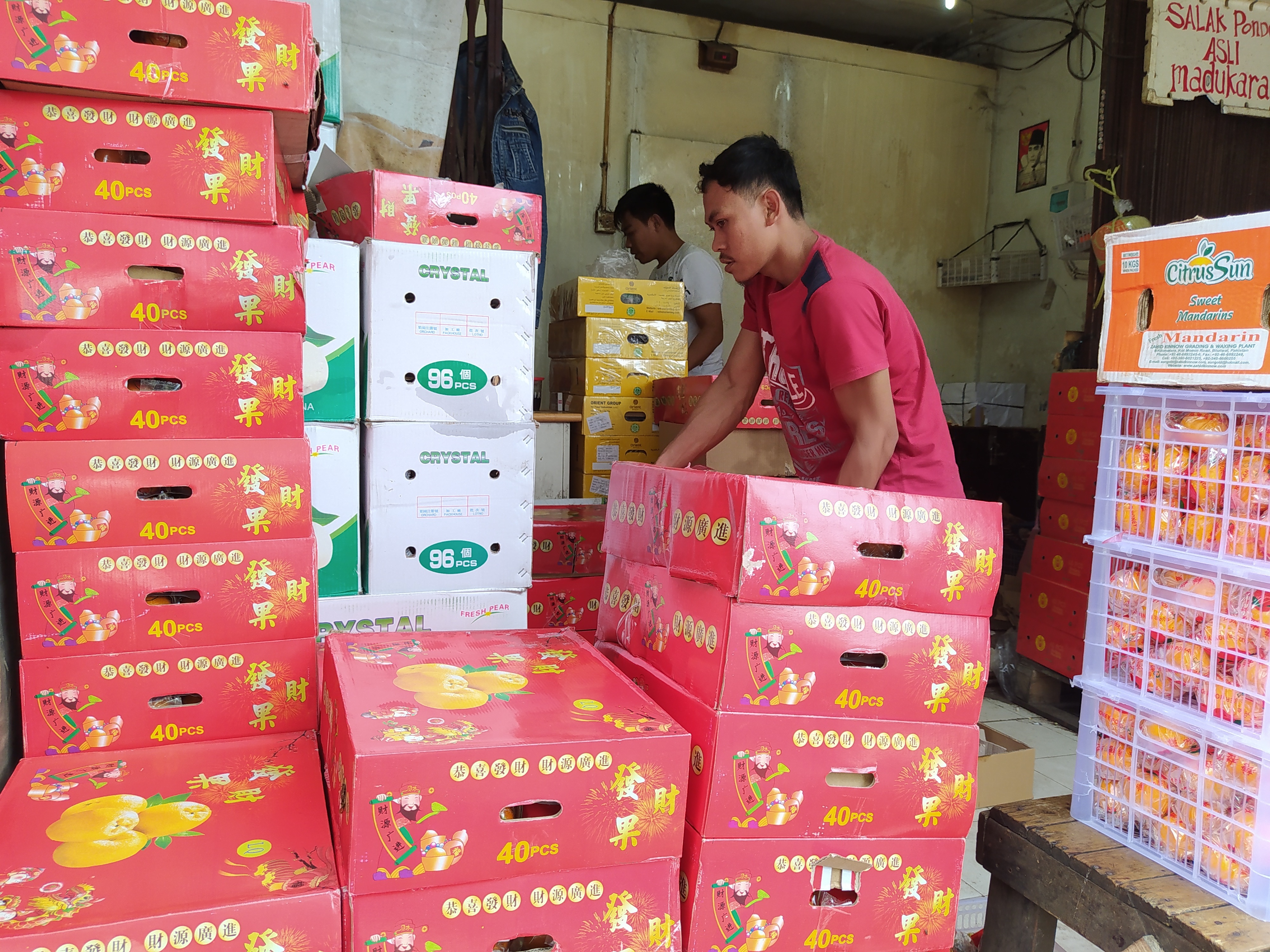 Pedagang menata buah impor