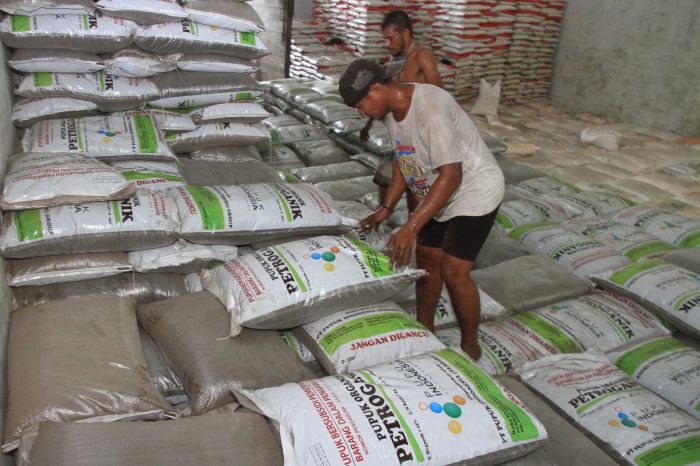 Kuota Pupuk Bersubsidi Agam Meningkat Menjadi 15.535 Ton pada 2021