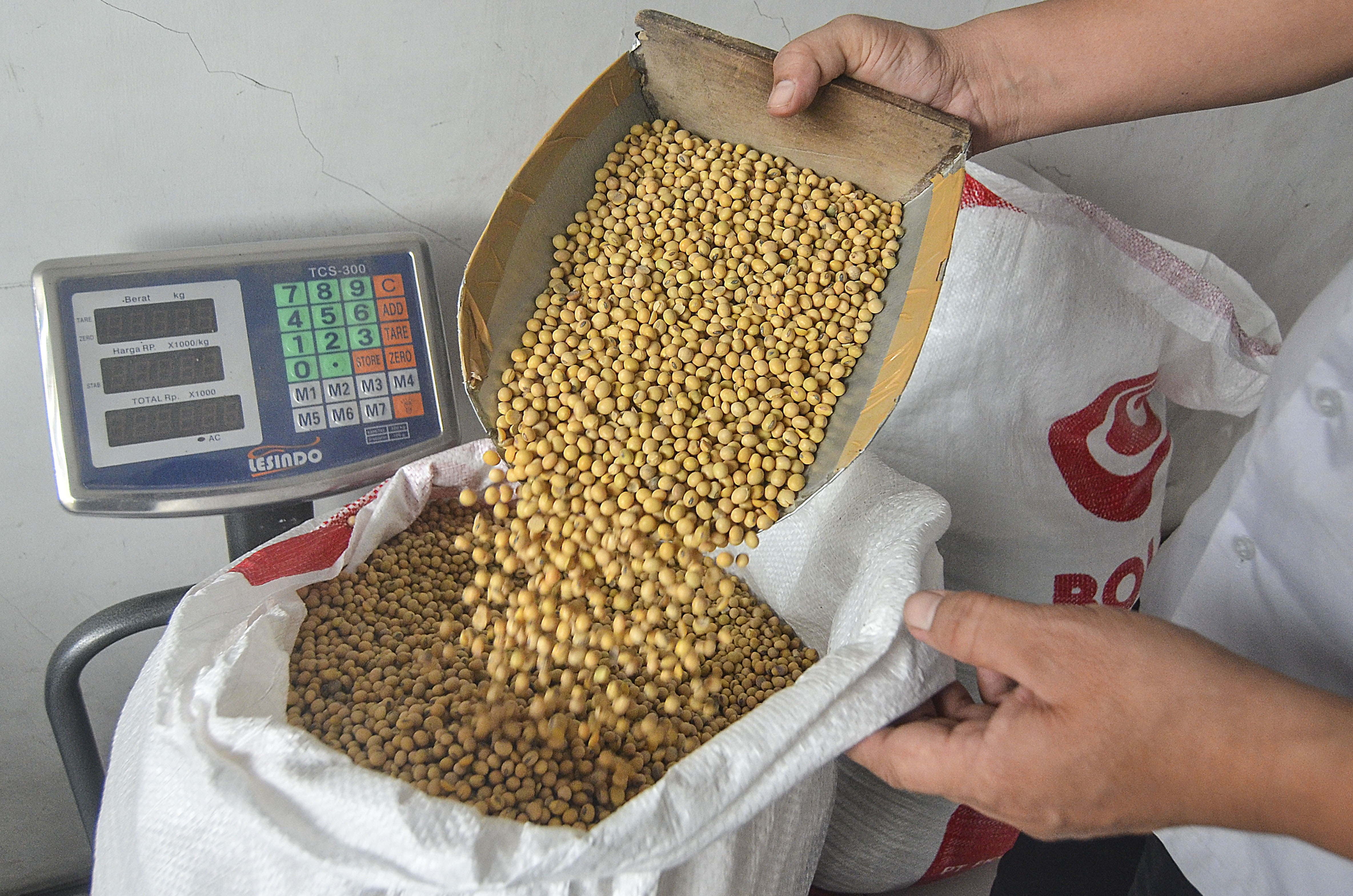 650 Ribu Ton Kedelai Datang Maret 2021