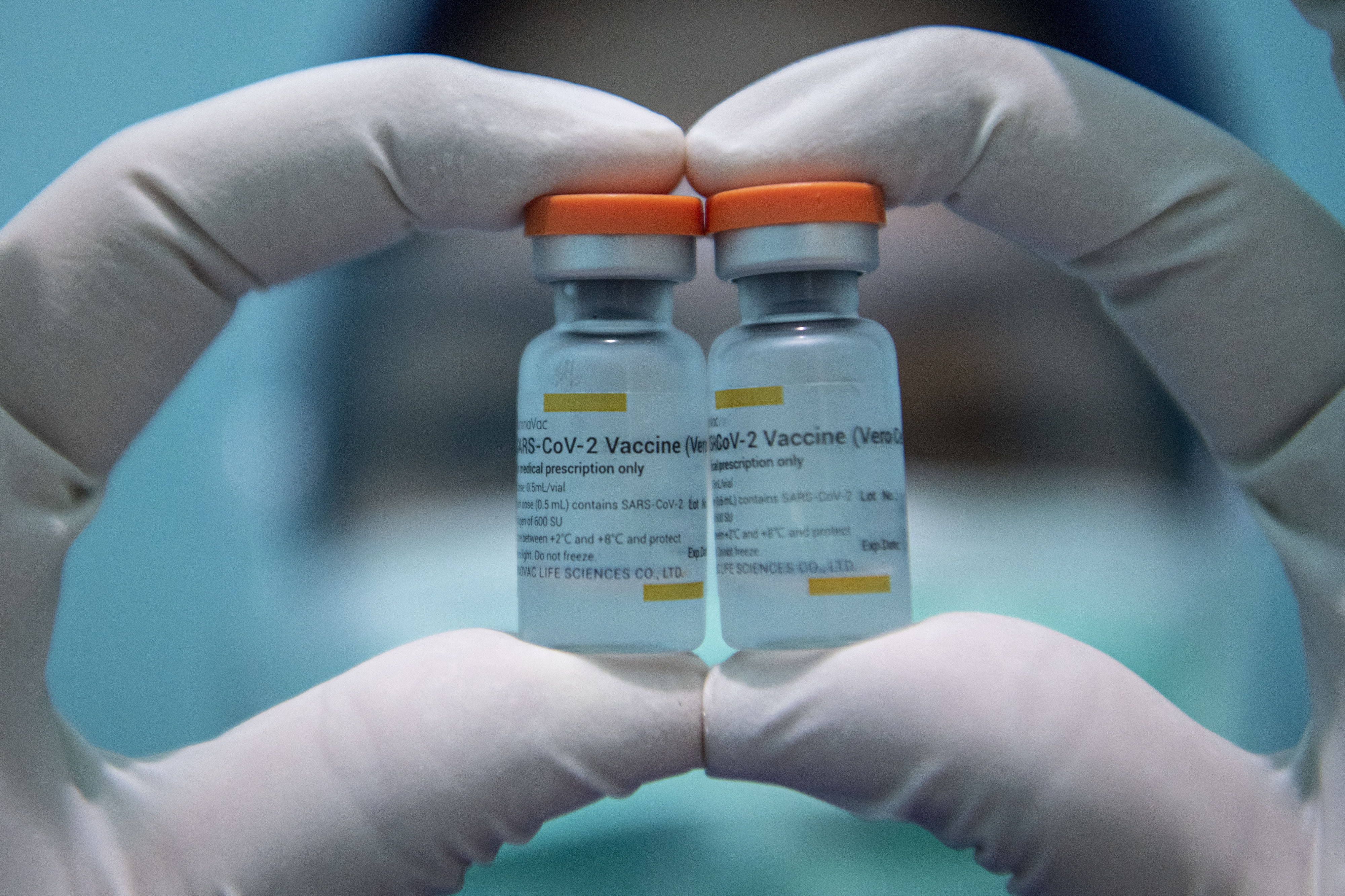 VAKSINASI: Pemerintah menargetkan sebanyak 181,5 juta rakyat Indonesia akan mendapatkan suntikan vaksin covid-19 sebelum tahun 2021 berakhir