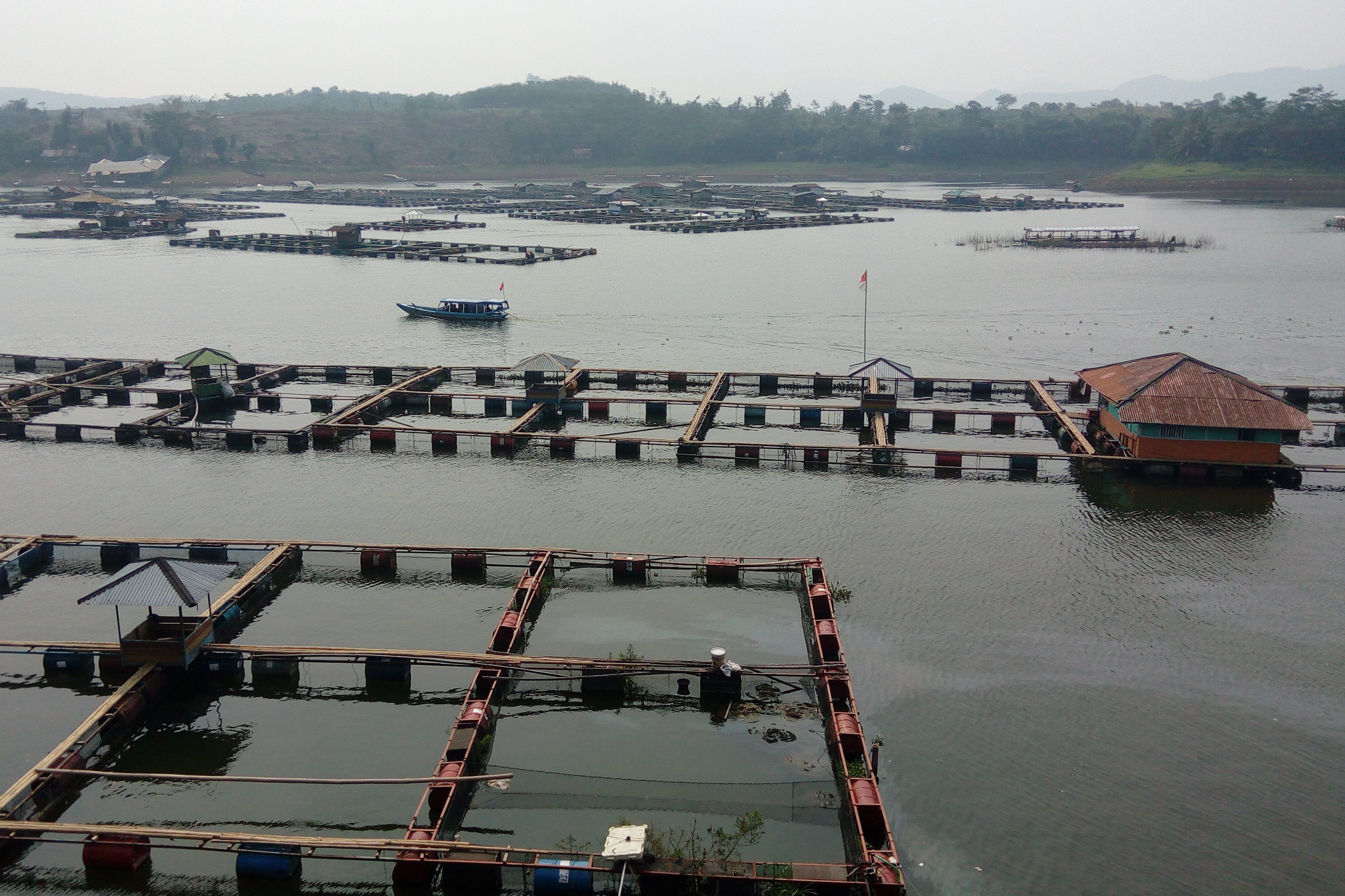 Kawasan keramba jaring apung Jangari, Desa Bobojong, Kecamatan Mande, Kabupaten Cianjur, Jawa Barat, beberapa waktu lalu.