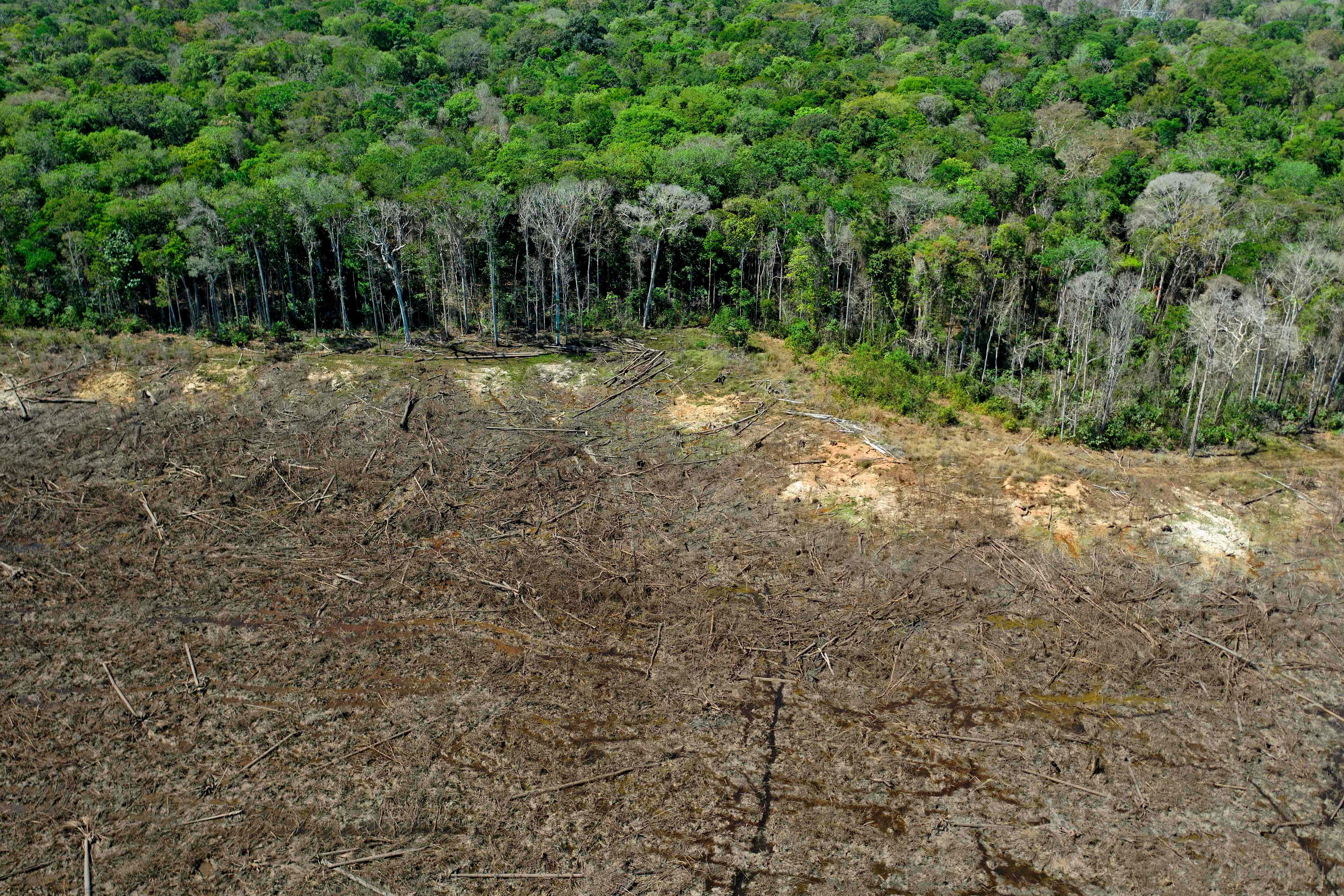 Pemandangan udara dari area gundul dekat Sinop, Negara Bagian Mato Grosso, Brasil.