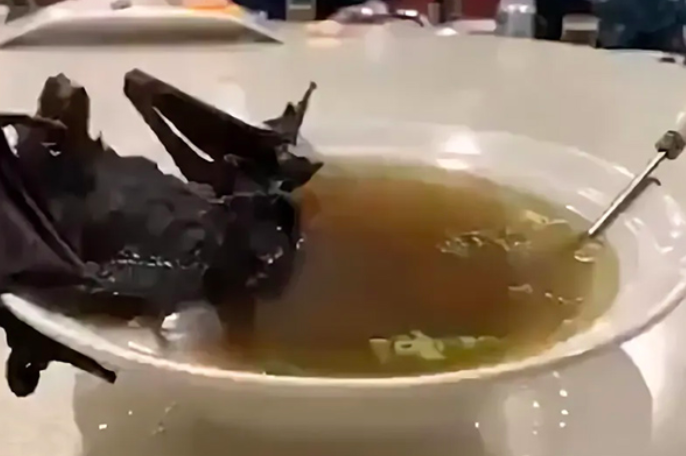 Tim WHO Akan Mulai Penyelidikan Asal-Usul Covid-19 di Wuhan