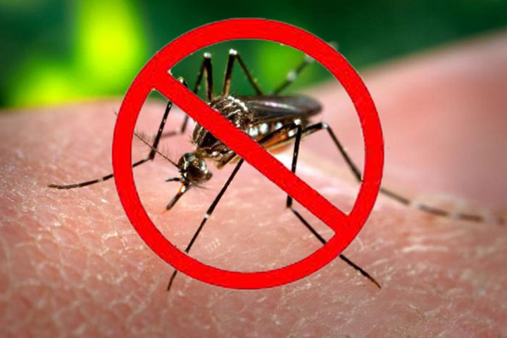 Demam Berdarah Dengue