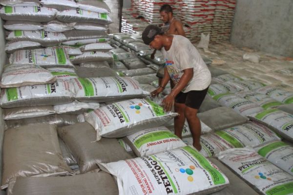 Subsidi Pupuk Gagal, Jokowi Didorong Rombak Direksi PT Pupuk