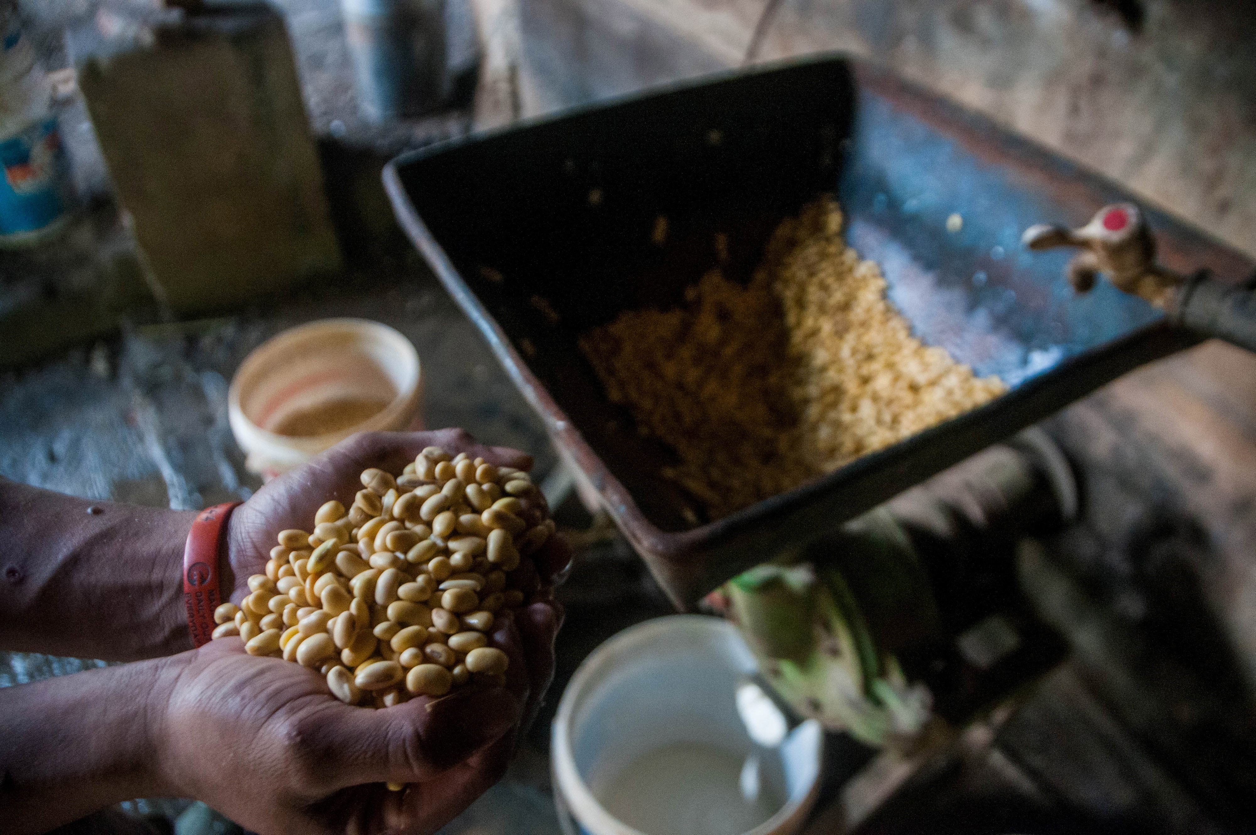 Proses produksi tahu dan tempe