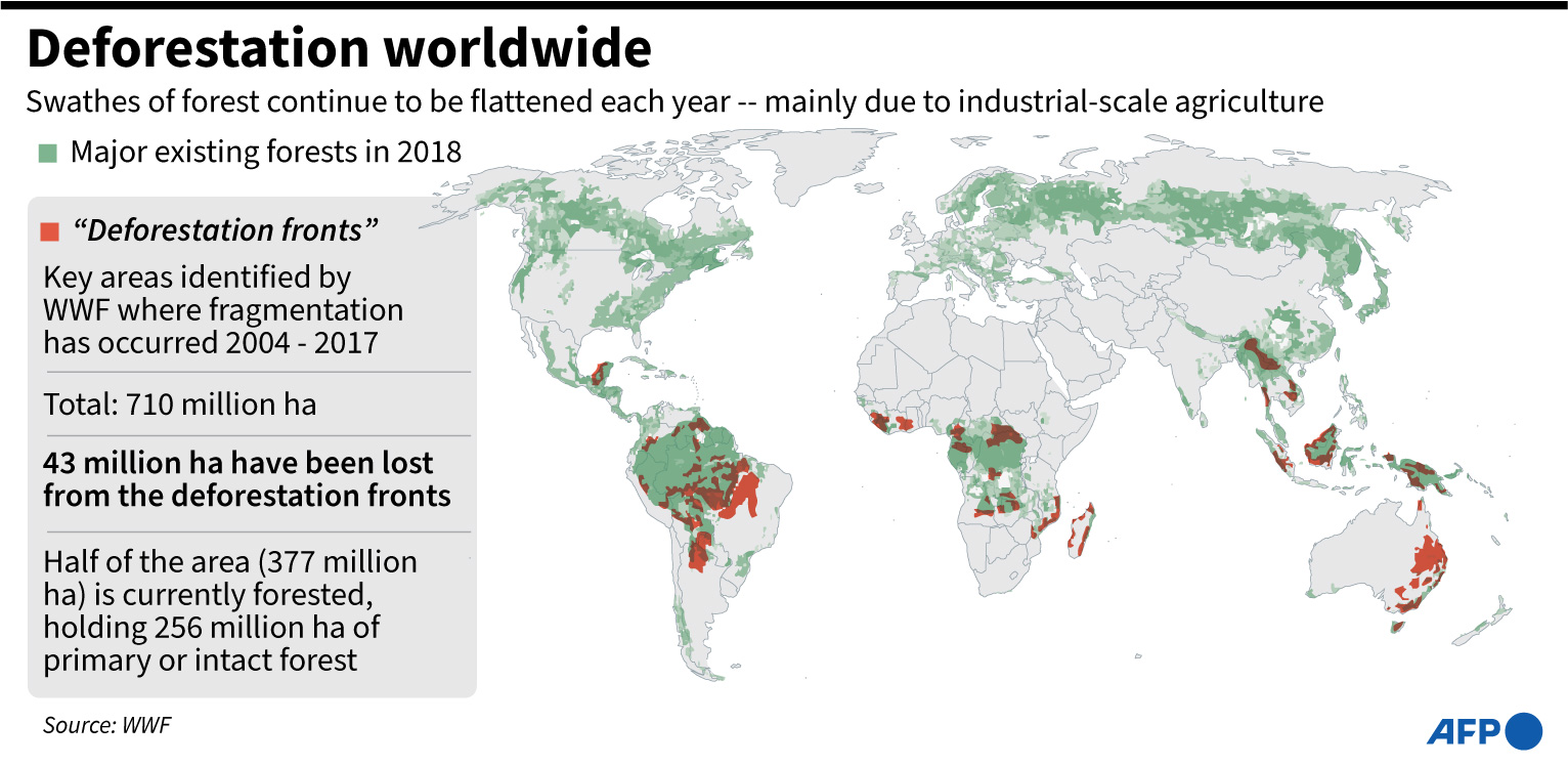 Grafis deforestasi di dunia pada 2018