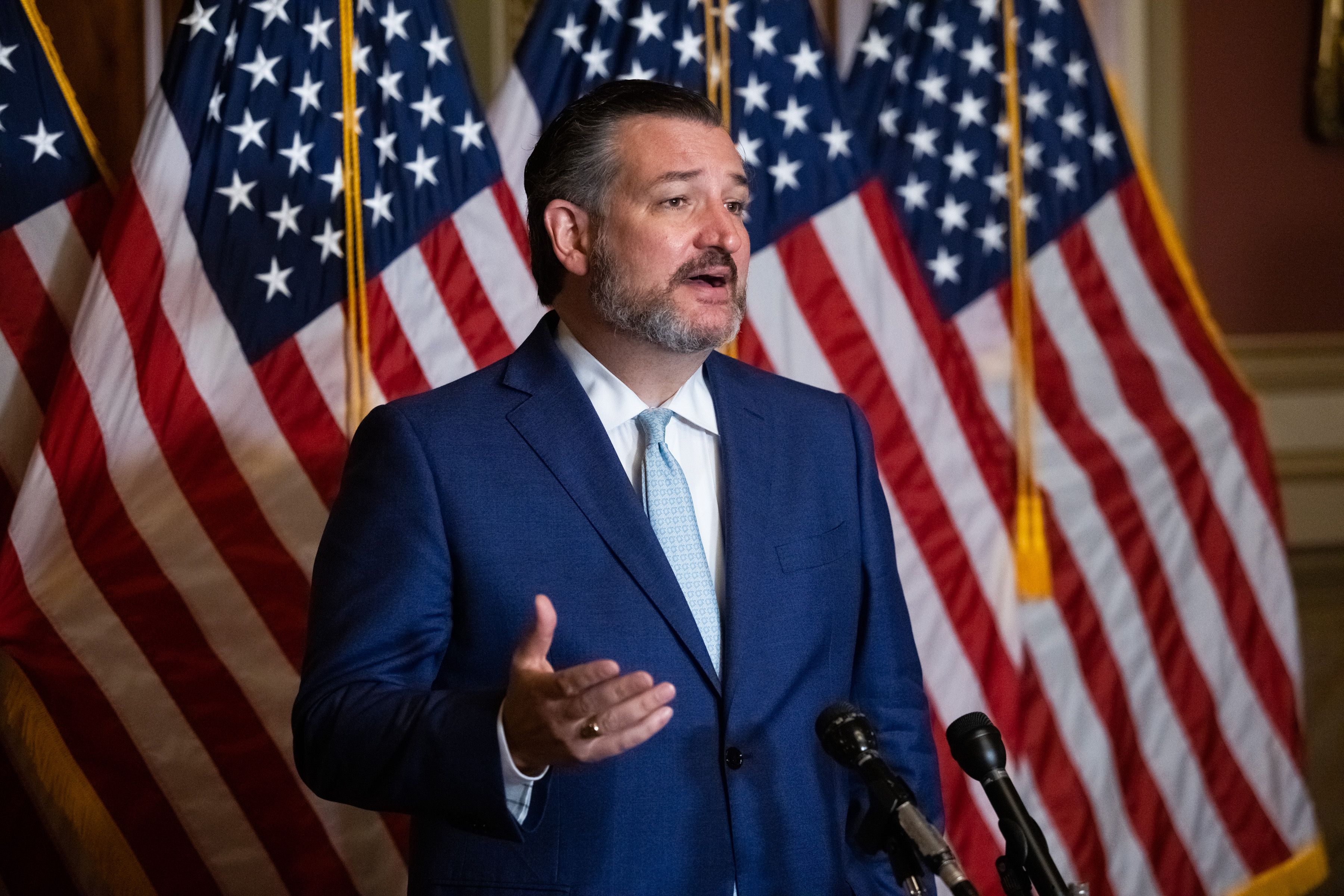 Senator AS dari Partai Republik Ted Cruz