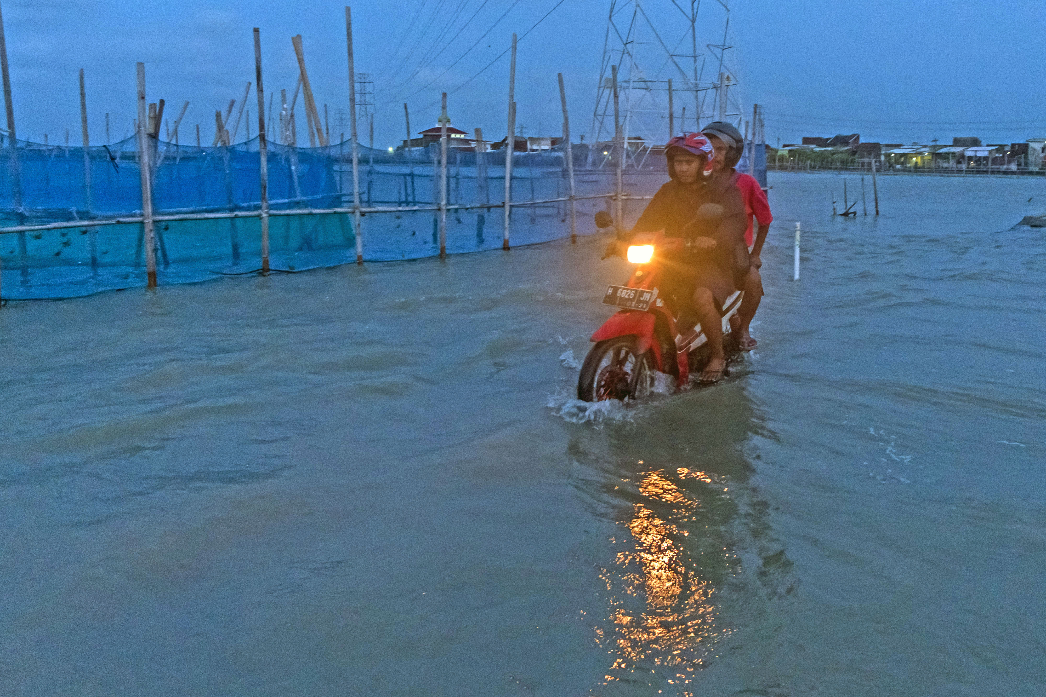 Ilustrasi banjir rob. 