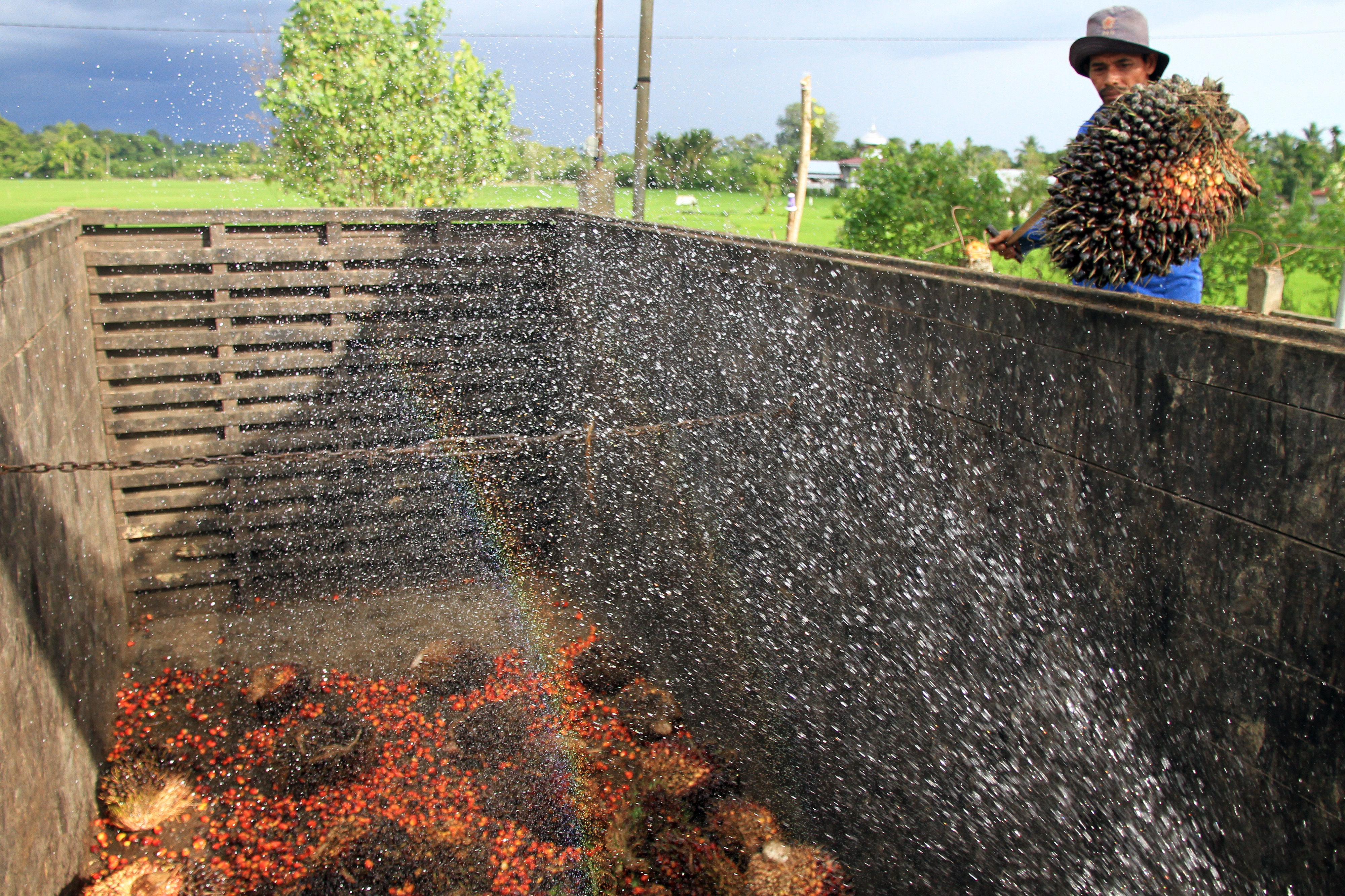 MINYAK SAWIT: Produk minyak sawit (CPO) dan turunannya pada 2020 naik. Ada upaya deversifikasi minyak sawit mejadi bio fuel.