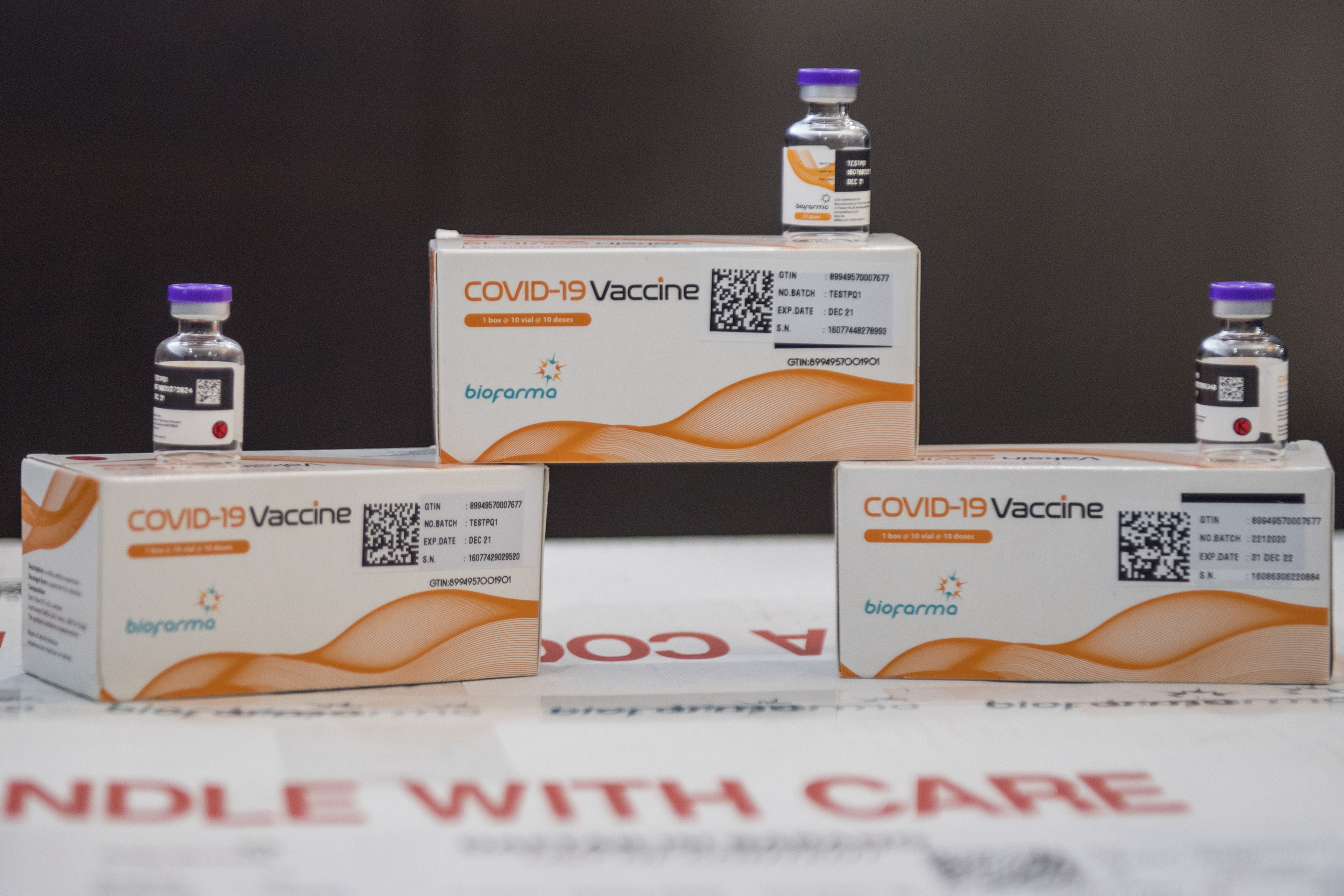 15 Juta Dosis Vaksin Sinovac dari Tiongkok Tiba di Tanah Air