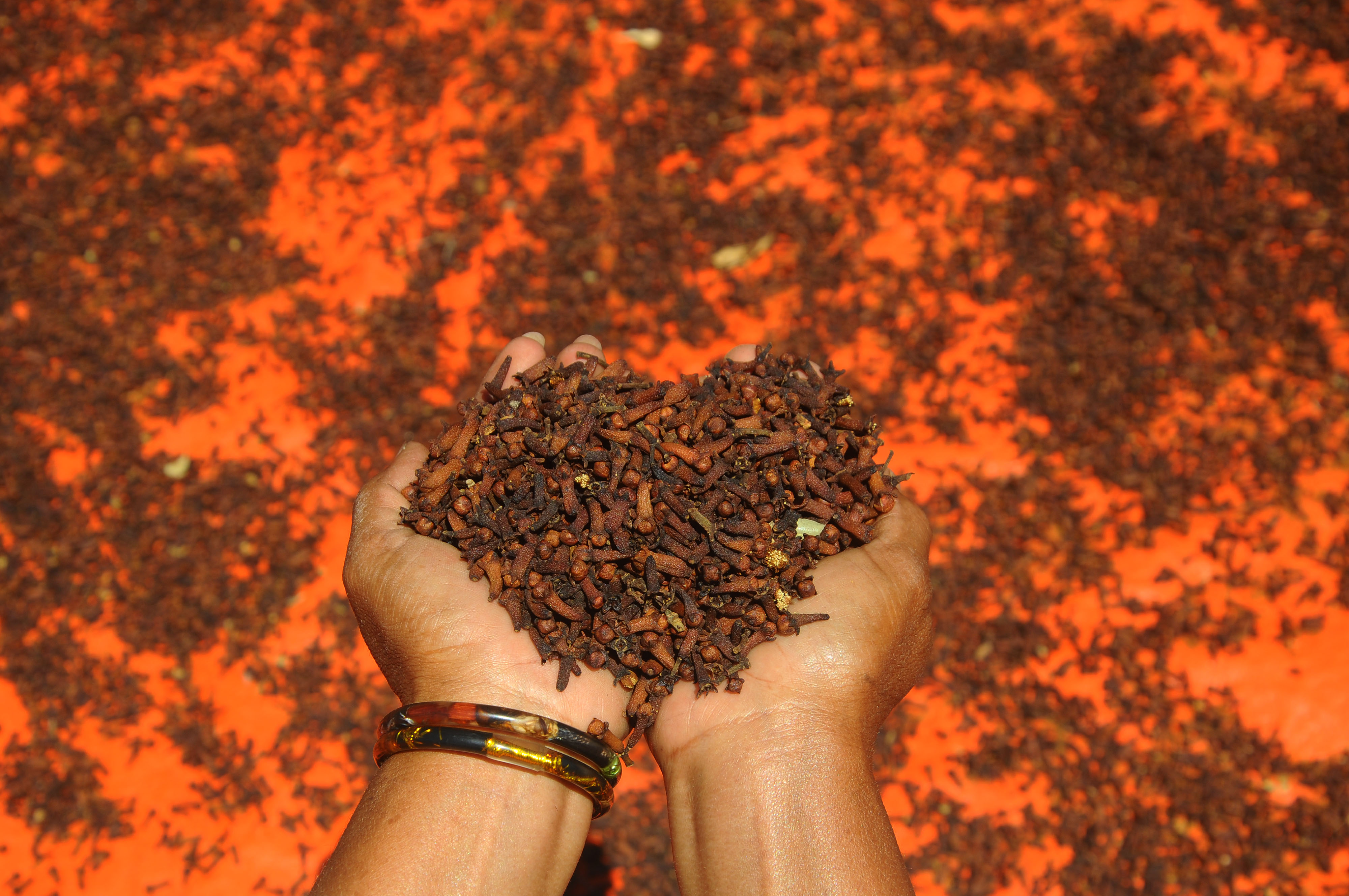 Menghirup cengkih 20 detik setiap hari dapat memulihkan kembali indra penciuman pasien covid-19 yang mengalami anosmia dan parosmia.