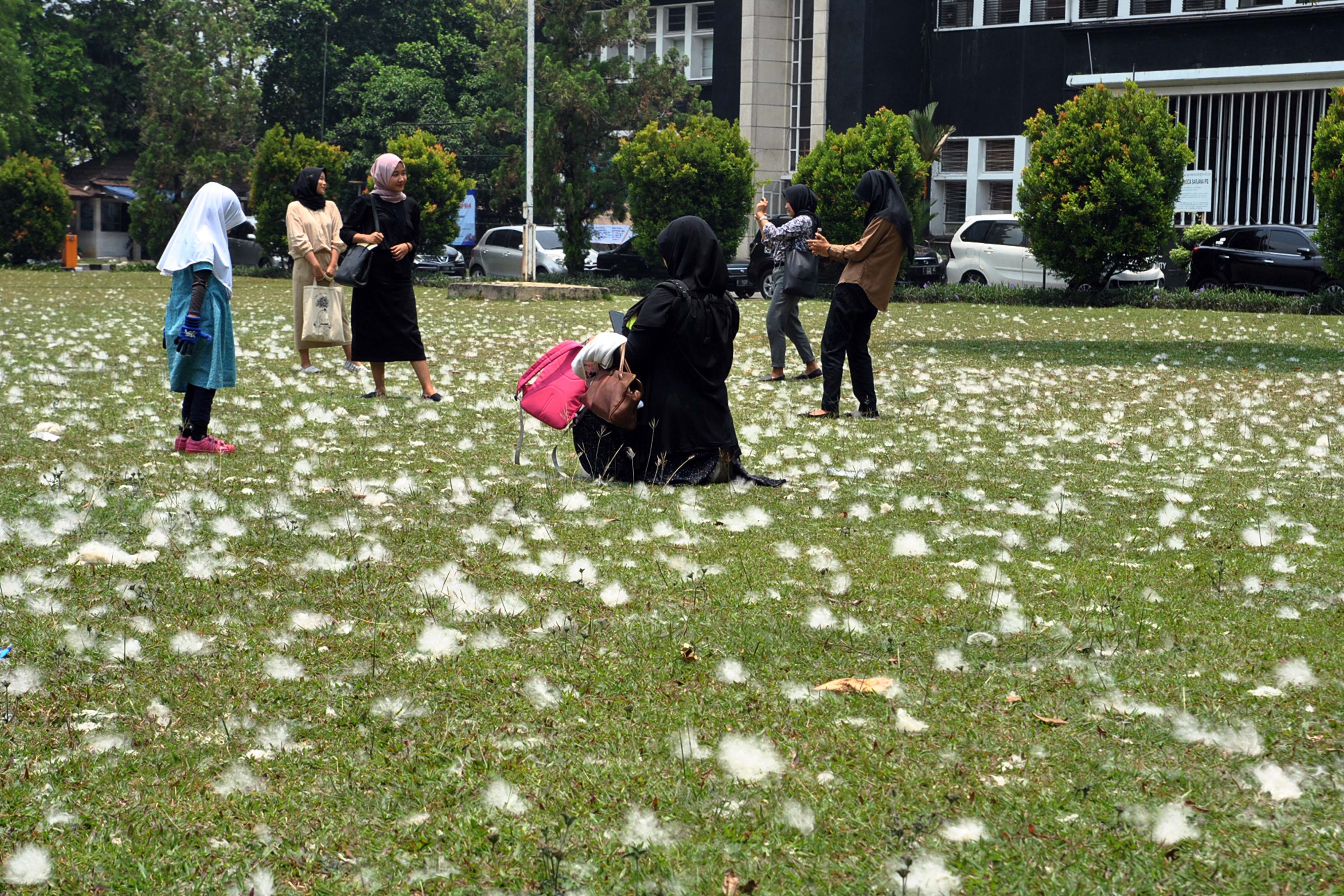 Sejumlah warga berfoto di lapangan Kampus IPB Baranangsiang, beberapa waktu lalu.