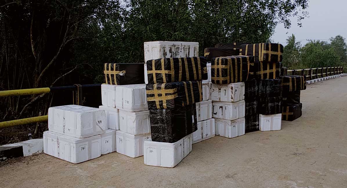 Puluhan boks berisi benur diamankan polisi Jambi