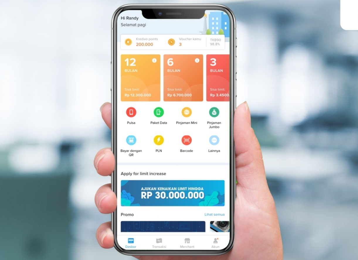 Belanja Online Meningkat, Fitur Paylater Diprediksi Makin Populer