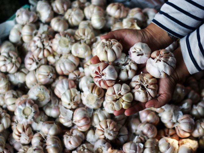 Komoditi bawang putih hampir setiap tahun mengalami kelangkaan dan kenaikan harga yang disebabkan regulasi non tarif 
