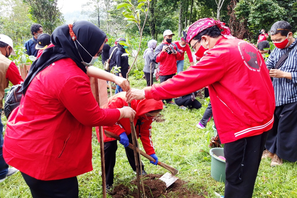Sekretaris PDIP Jawa Timur Sri Untari bersama fungsionaris dan kader PDIP menanam pohon beringin di Arboretum Desa Sumber Brantas.