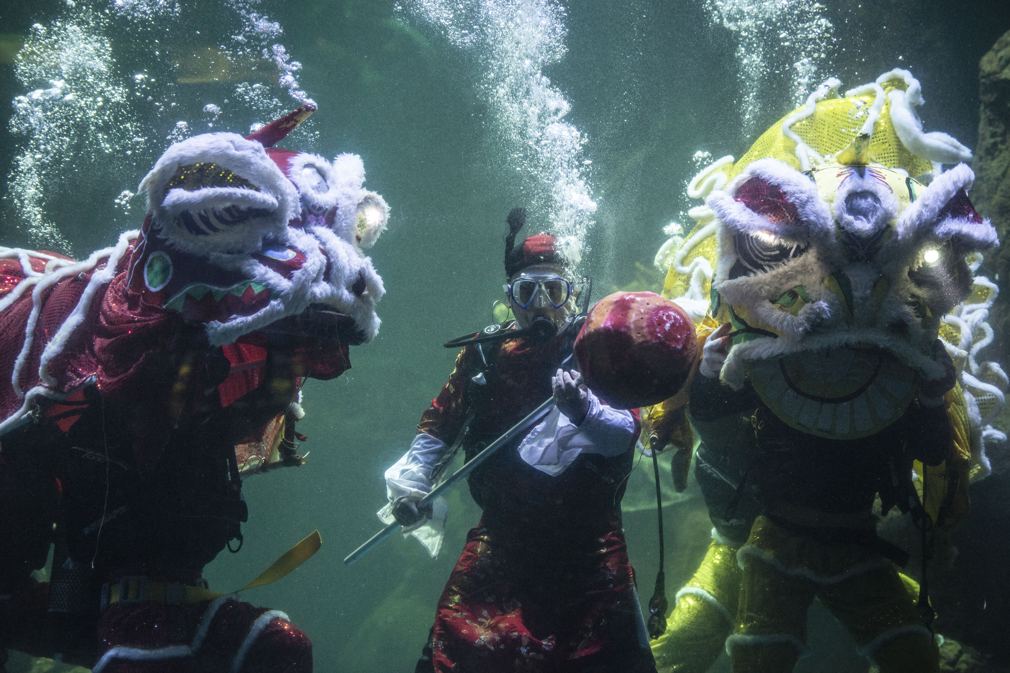 Barongsai beraksi menghibur pengunjung dalam pertunjukan bertajuk 