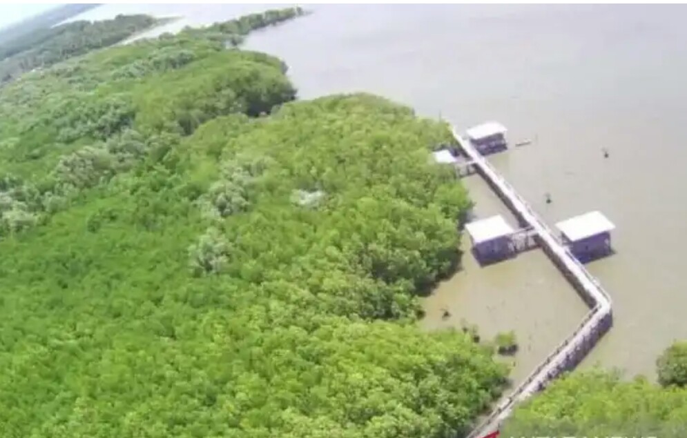  Wisata mamgrove Luppung Manyampa di Kabupaten Bulukumba, Sulawesi Selatan