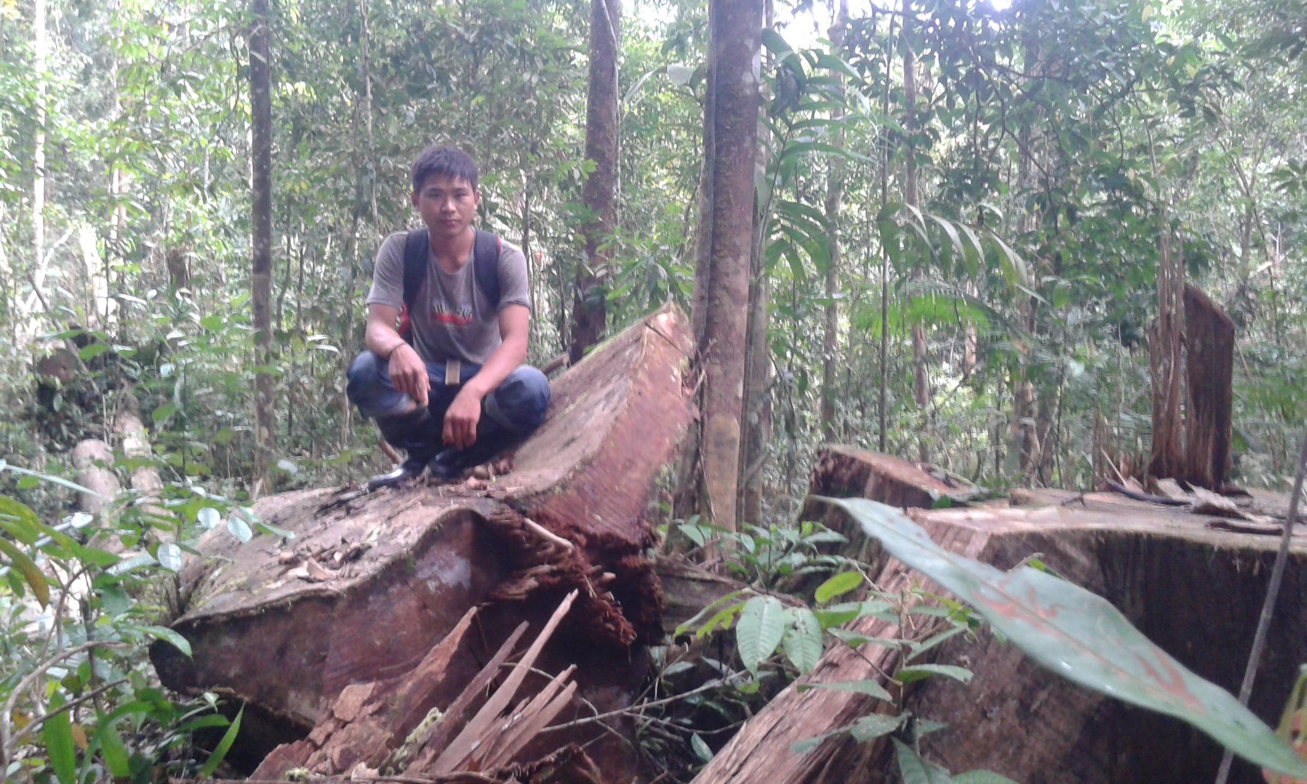 Musyawarah adat warga Desa Datar Ajab dan warga desa menunjukkan kayu bekas tebangan ilegal logging di hutan meratus.