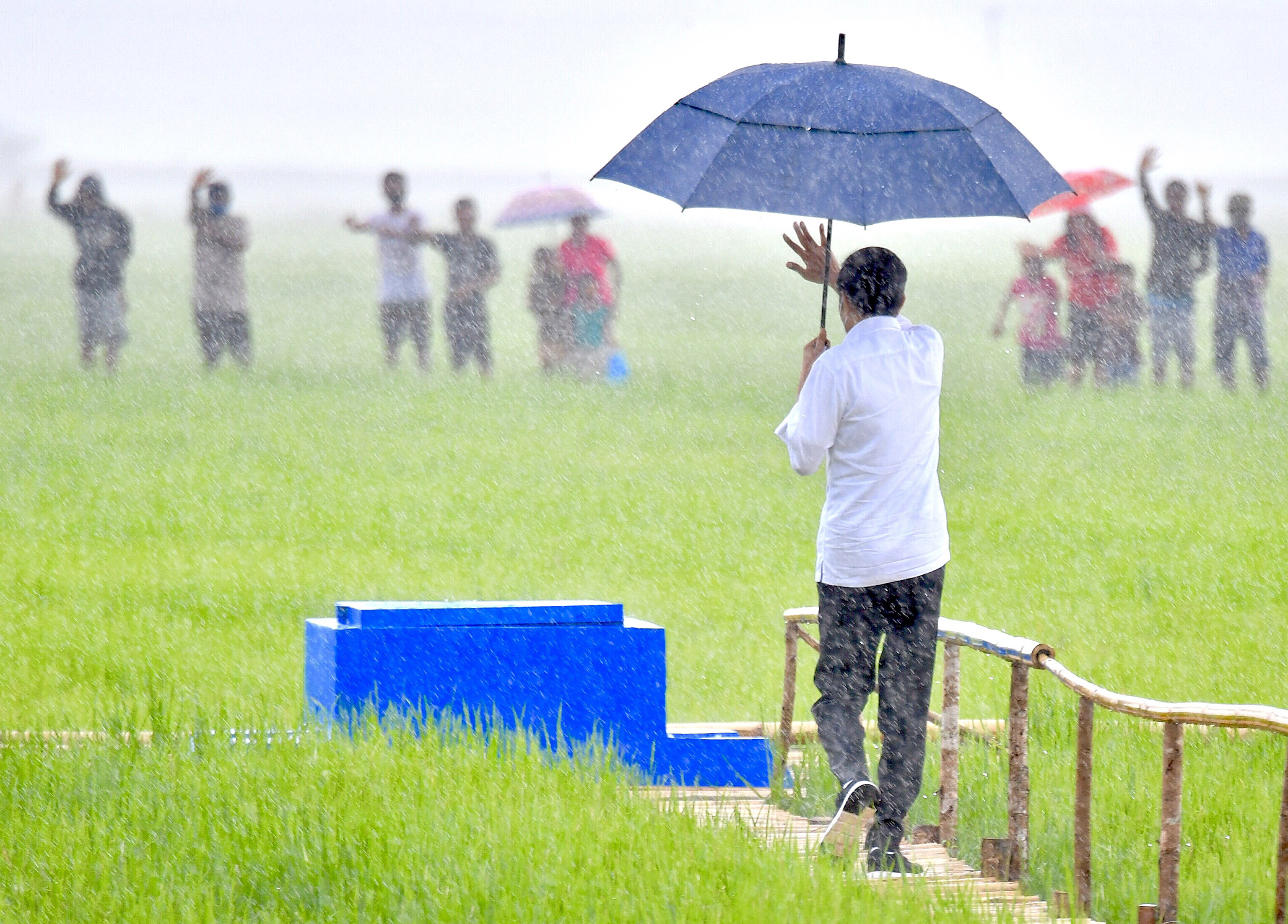  Presiden Jokowi menyapa warga saat meninjau lumbung pangan yang berada di NTT, Selasa (23/2).