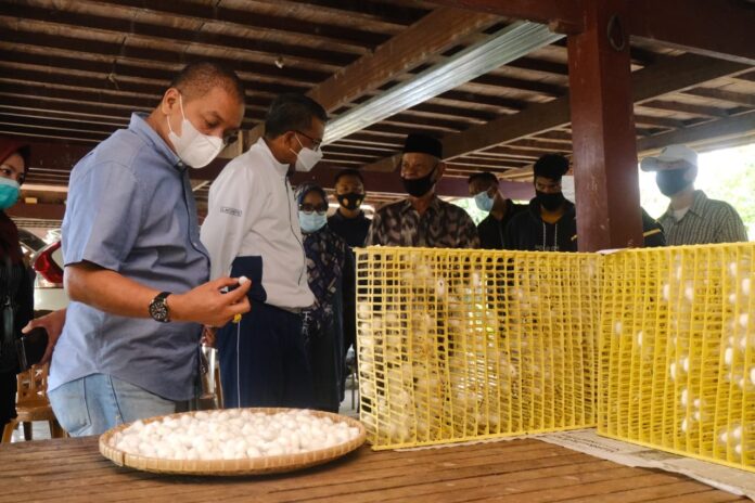  Rumah produksi pemintalan sutra di Soppeng, Sulawesi Selatan menjadi sentra kebangkitan sutra lokal