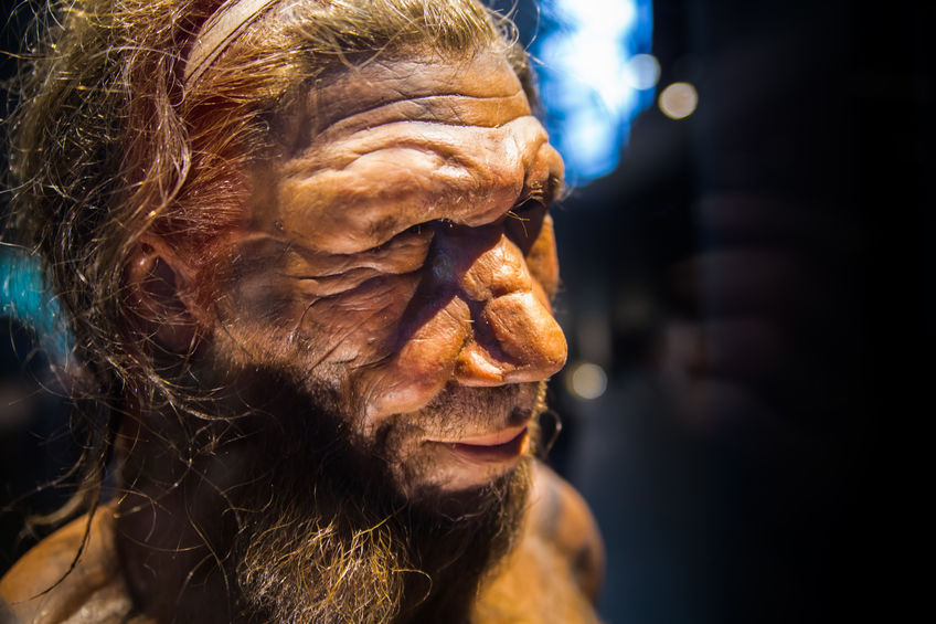 Rekaan manusia purba Neanderthal