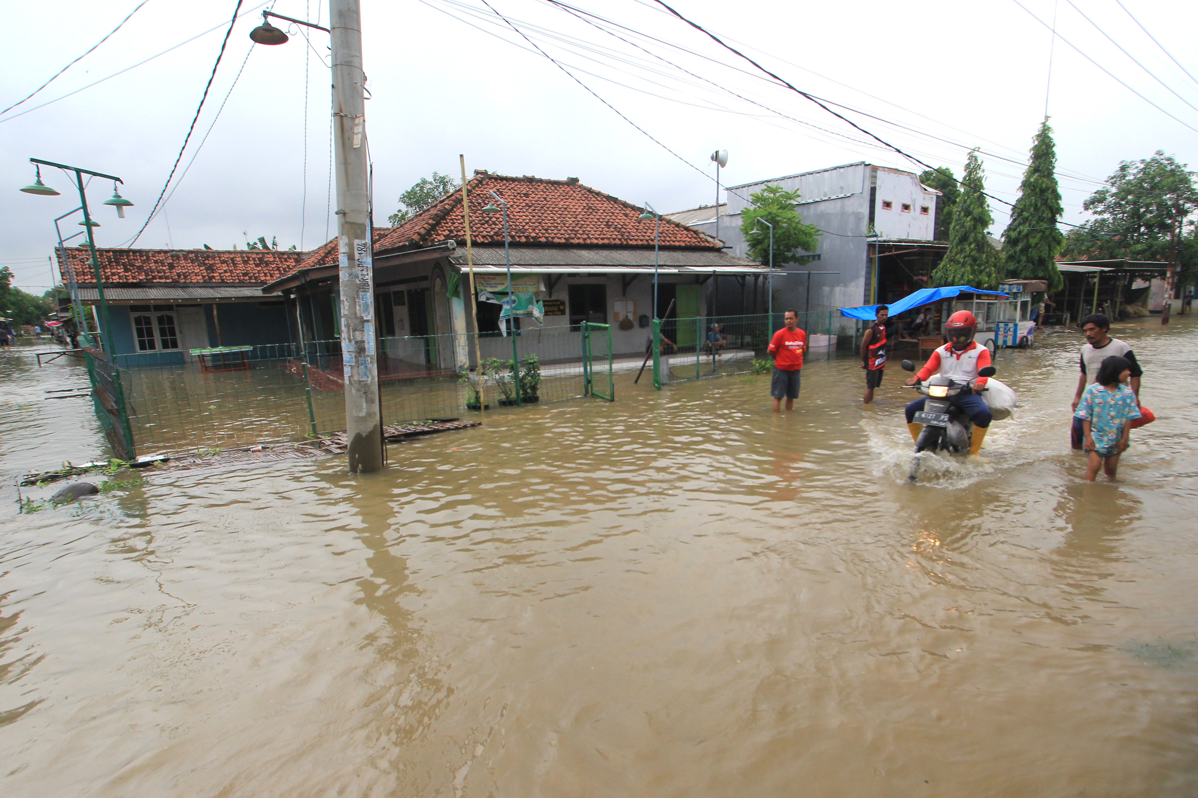 Banjir menggenangi ratusan hektare sawah dan tambak di Indramayu,  Jawa Barat.