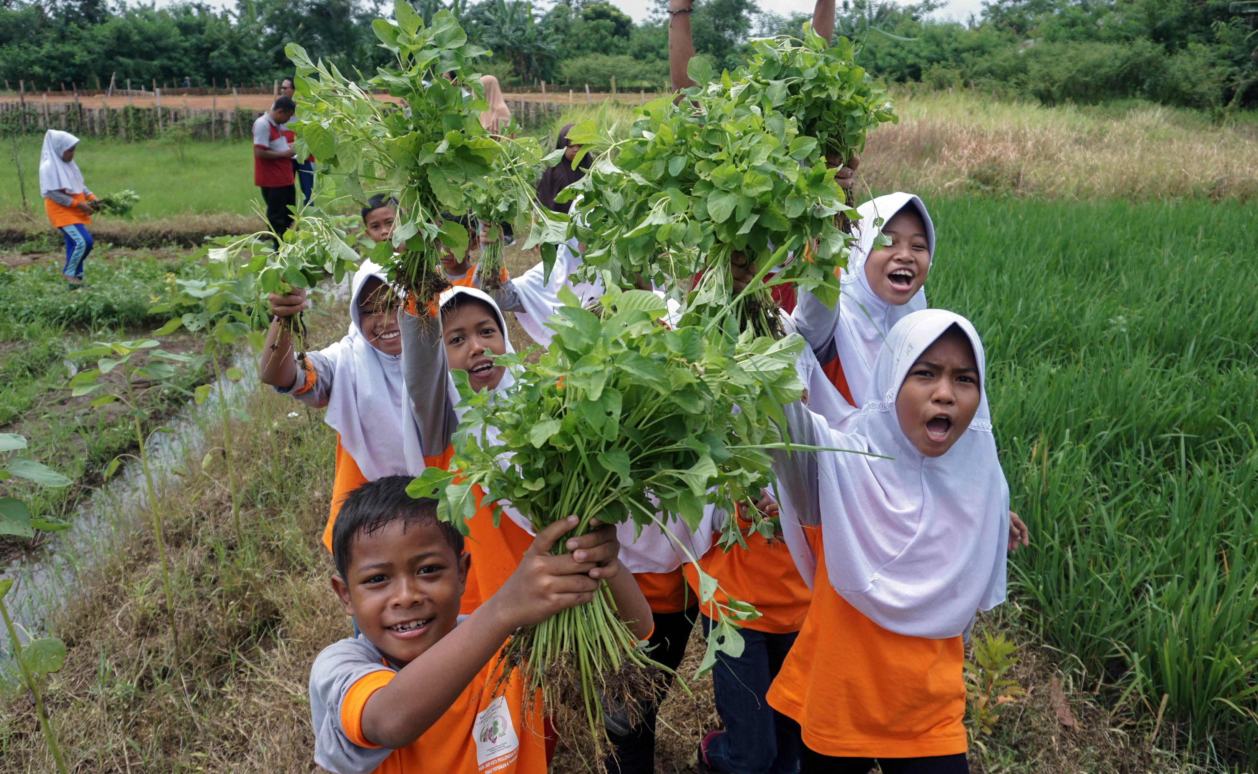 Sejumlah anak di Pekalongan, Jateng menunjukkan sayur bayam hasil panen dalam rangka kampanye gerakan makan sayur)sejak usia muda.