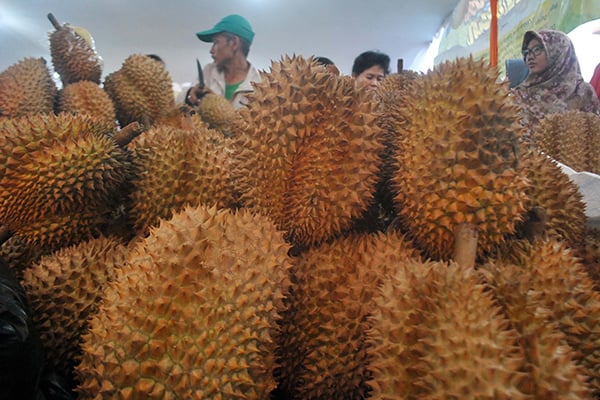 Ilustrasi : durian.