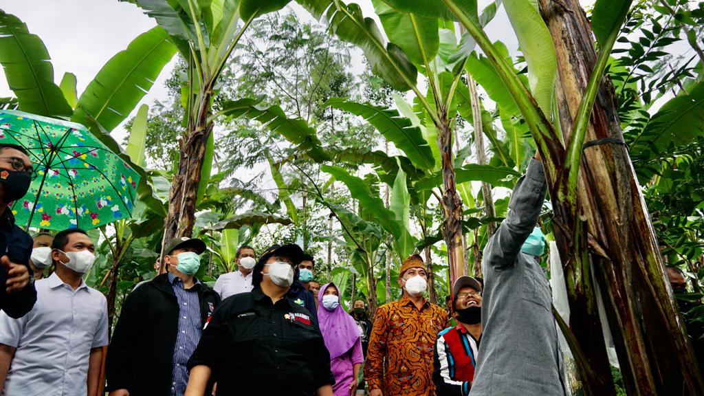 Menteri LHK Siti Nurbaya saat melakukan kunjungan kerja ke lokasi perhutanan sosial di Desa Burno, Kabupaten Lumajang, Jawa Timur. 