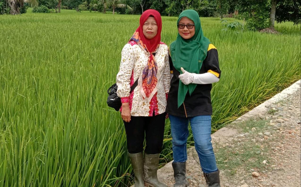 Tenaga harian lepas tenaga bantu penyuluh pertanian (THL-TBPP) diangkat menjadi pegawai pemerintah dengan perjanjian kerja (ASN-P3K).