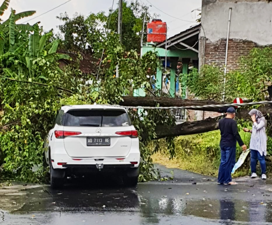 Mobil Fortuner tertimpa pohon tumbang akibat diterjang hujan lebat disertai angin kencang di Desa Jimbung, Kecamatan Kalikotes, Klaten.