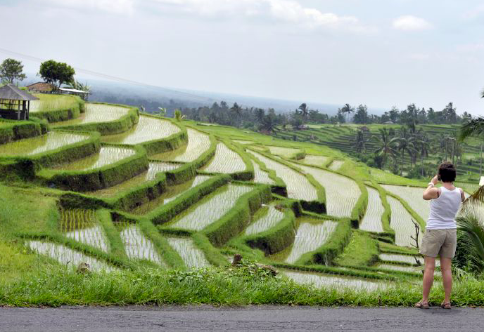 Seorang wisatawan mancanegara memotret pamandangan sawah di Jatiluwih, Tabanan, Bali, pekan lalu.  