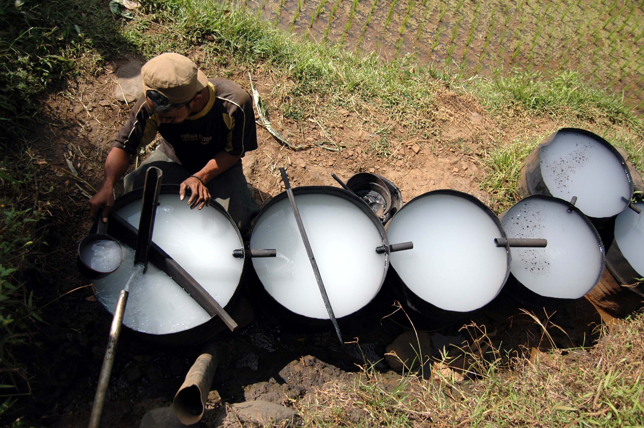 Proses penyulingan minyak cengkeh di Batang, Jawa Tengah.