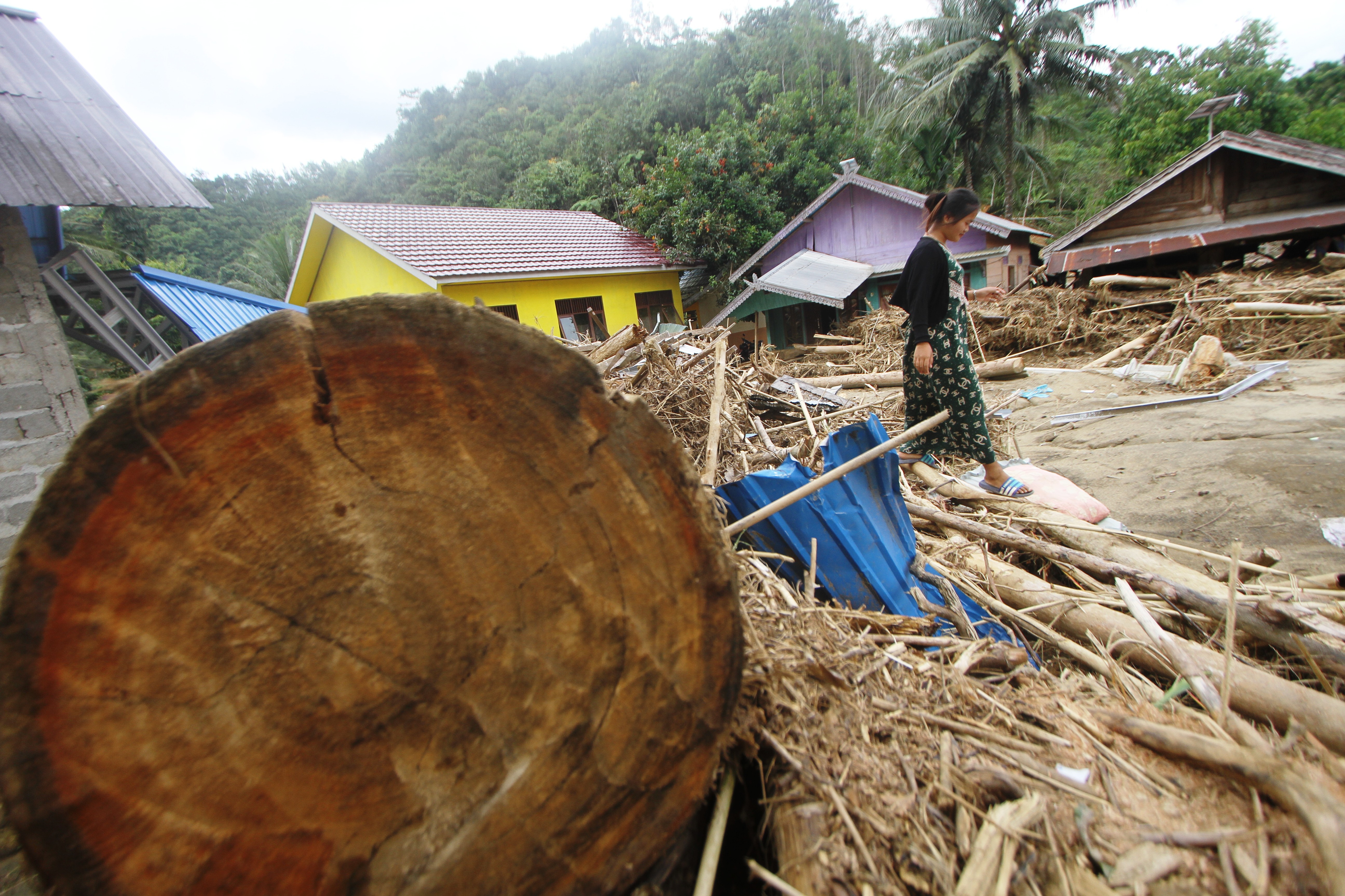 Potongan kayu hasil ilegal logging di kawasan Pegunungan Meratus hanyut disapu banjir dan menghantam permukiman warga di Desa Datar Ajab