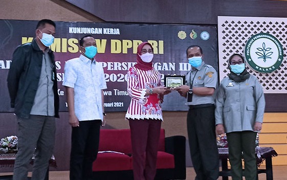 Wakil Ketua Komisi IV DPR Anggia menerima plakat didampingi Sekretaris BPPSDMP Siti Munifah, Senin (15/2/2021)