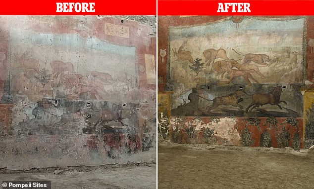 Lukisan kuno di Pompeii yang direstorasi. 
