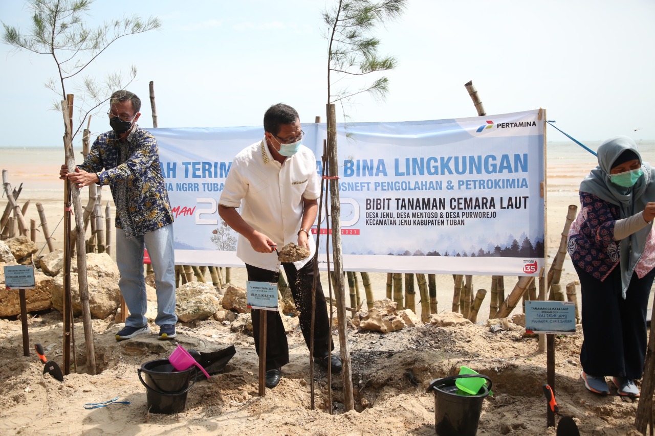 Bupati Tuban Fathul Huda menaman Cemara laut dari PT. Pertamina Rosneft Pengolaham dan Petrokimia (PRPP) di Mangrove Center Jenu, Kamis (18/