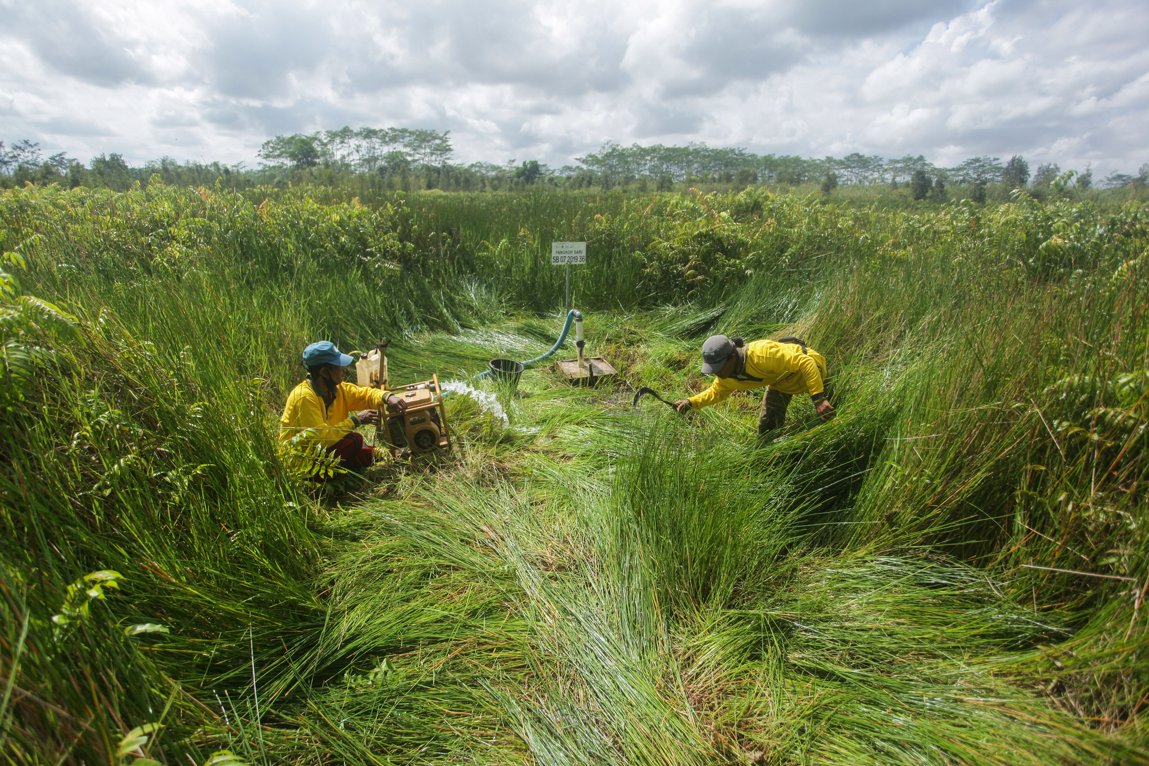 Petugas menyirami lahan gambur di Pulang Pisau, Kalimantan Tengah