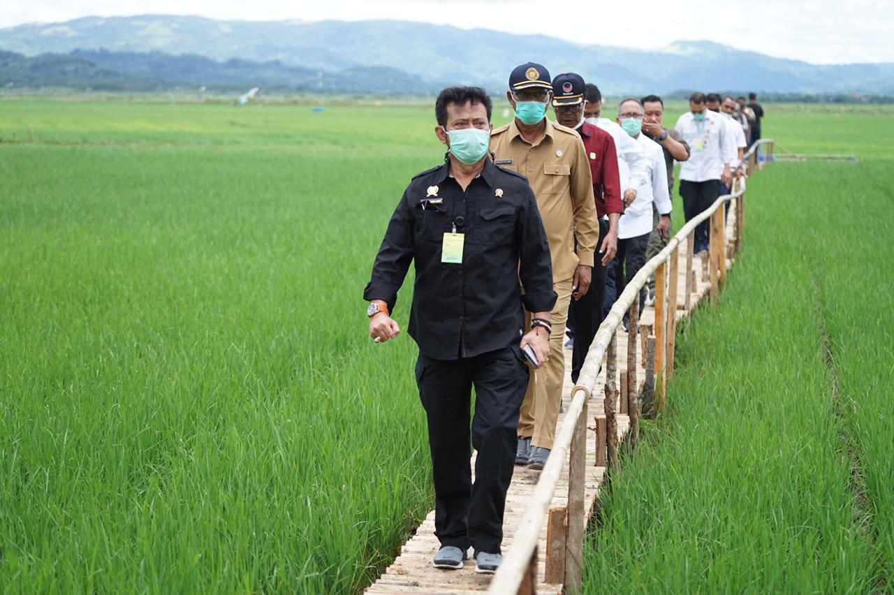 Menteri Pertanian Syahrul Yasin Limpo mengunjungi kawasan food estate. 