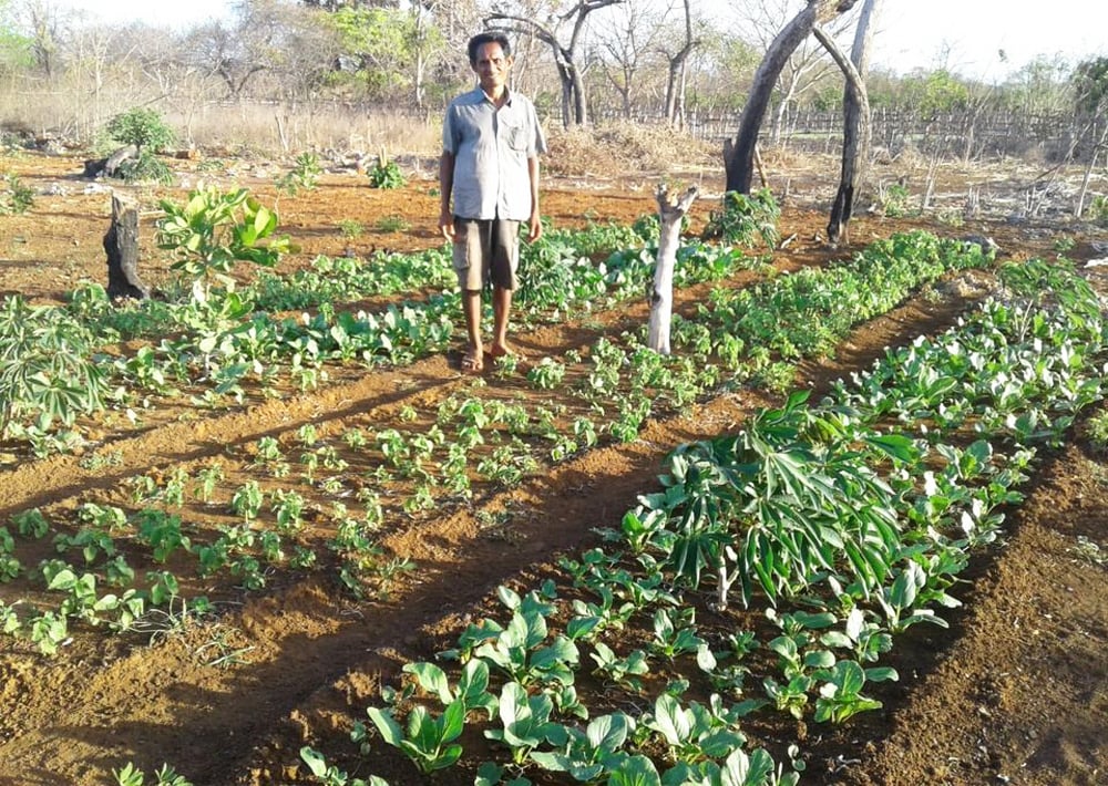 Produksi Pangan Dikhawatirkan Hilangkan Keanekaragaman Hayati