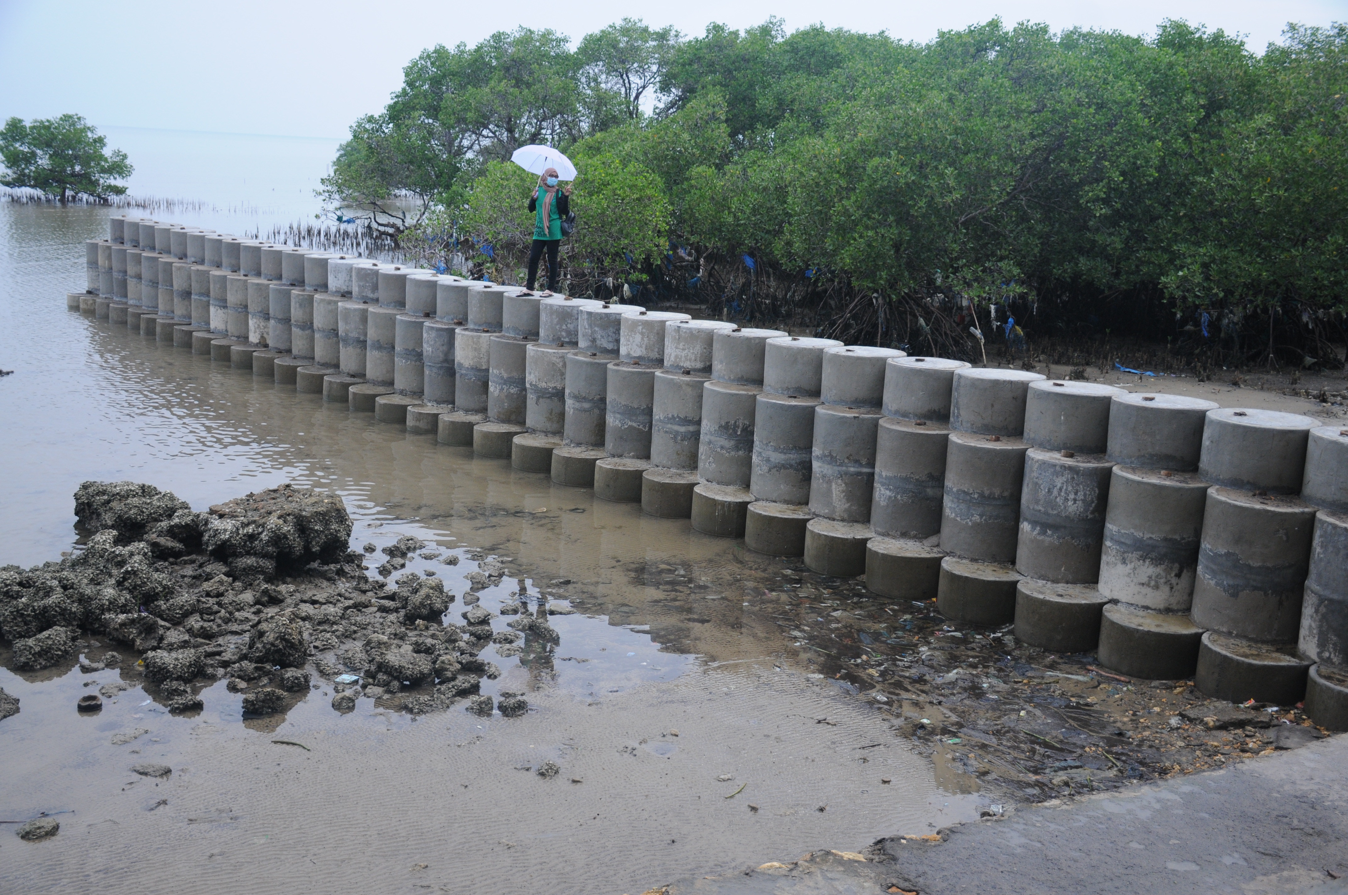 Ilustrasi tanggul laut